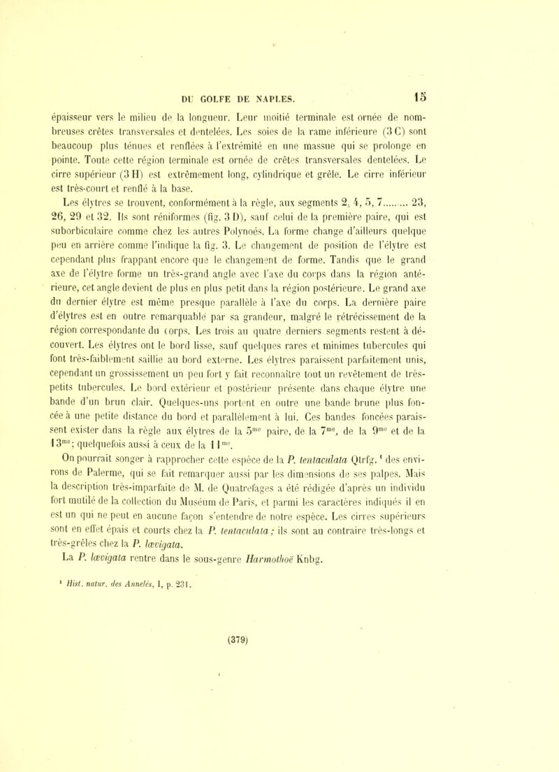 épaisseur vers le milieu de la longueur. Leur moitié terminale est ornée de nom- breuses crêtes transversales et dentelées. Les soies de la rame inférieure C,]C) sont beaucoup plus ténues et renflées à l'extrémité en une massue qui se prolonge en pointe. Toute cette région terminale est ornée de crêtes transversales dentelées. Le cirre supérieur (3 H) est extrêmement long, cylindrique et grêle. Le cirre inférieur est très-court et renflé à la base. Les élytres se trouvent, conformément à la règle, aux segments 2, 4, 5, 7 23, 26, 29 et 32. Ils sont réniformes (fig. 3 D), sauf c(.'lui de la première paire, qui est suborbiculaire comme chez les autres Polynoés. La forme change d'ailleurs quelque peu en arrière comme l'indique la fig. 3. Le changement de position de l'élytre est cependant plus frappant encore que le changement de forme. Tandis que le grand axe de l'élytre forme un très-grand angle avec l'axe du corps dans la région anté- rieure, cet angle devient de plus en plus petit dans la région postérieure. Le grand axe du dernier élytre est même presque parallèle à l'axe du corps. La dernière paire d'élylres est en outre remarquable par sa grandeur, malgré le rétrécissement de la région correspondante du corps. Les trois au quatre derniers segments restent à dé- cou vei1. Les élytres ont le bord lisse, sauf quelques rares et minimes tubercules qui font très-f;iiblement saillie au bord externe. Les élytres paraissent parfaitement unis, cependant un grossissement un peu fort y fait reconnaître tout un revêtement de très- petits tubercules. Le bord extérieur et postérieur présente dans chaque élytre une bande d'un brun clair. Quelques-uns portent en outre une bande brune plus fon- cée à une petite distance du bord et parallèlement à lui. Ces bandes foncées parais- sent exister dans la règle aux élytres de la 5^ paire, de la 7'°^ de la 9™'^ et de la 13^ quelquefois aussi à ceux de la i l™'. On pourrait songer à rapprocher celte espèce de la P. tenlacidata Qlrfg. ' des envi- rons de Palerme, qui se fait remarquer aussi par les dimensions de ses palpes. Mais la description très-imparfaite de M. de Quatrefages a été rédigée d'après un individu fort mutilé de la collection du iMuséum de Paris, et parmi les caractères indiqués il en est un qui ne peut en aucune façon s'entendre de notre espèce. Les cirres supérieurs sont en effet épais et courts chez la P. tentacnlata; ils sont au contraire très-longs et très-grêles chez la P. lœcigata. La P. lœvigata rentre dans le sous-genre Harmolhoë Knbg. ' Hist. initiir. r/f',9 Annelcs, I, p. 231. (379)