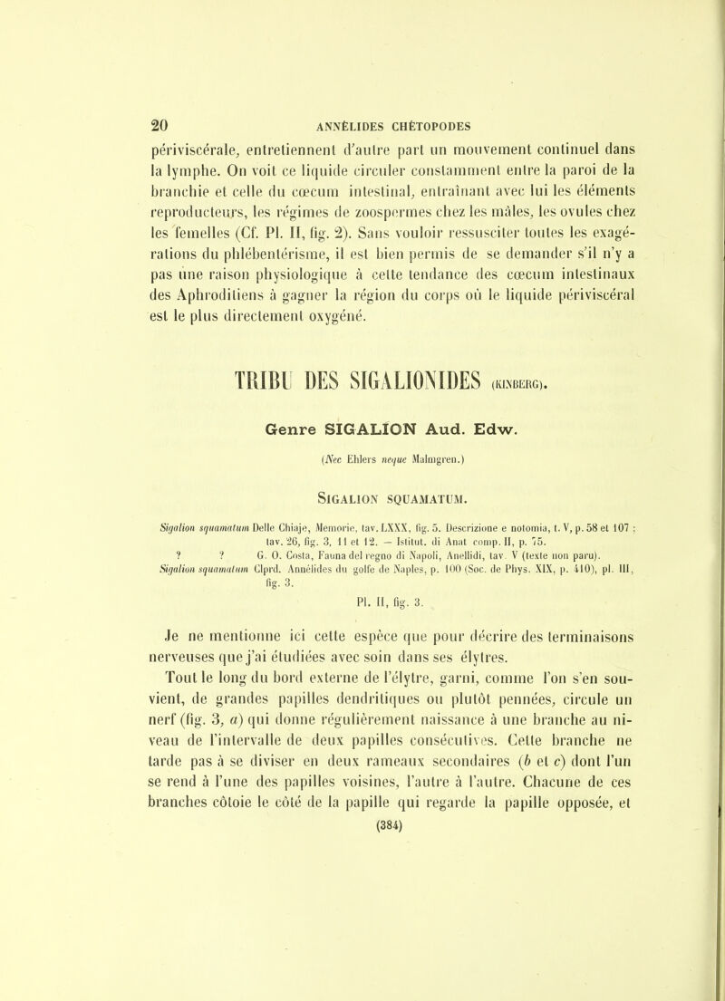 périviscérale, entretiennent d'autre part un mouvement continuel dans la lymphe. On voit ce liquide circuler constamment entre la paroi de la branchie et celle du cœcum intestinal, entraînant avec lui les éléments reproducteurs, les régimes de zoospermes chez les mâles, les ovules chez les femelles (Cf. Pl. II, fig. 2). Sans vouloir ressusciter toutes les exagé- rations du phlébenlérisme, il est bien permis de se demander s'il n'y a pas une raison physiologique à celte tendance des cœcum intestinaux des Aphroditiens à gagner la région du corps où le liquide périviscéral est le plus directement oxygéné. TRIBU DES SIGALIOMDES (KLXBERG). Genre SIGALION Aud. Edw. (Nec Ehlers tmiue Malnigren.) SiGALlON SQUAMATUM. Sifjalion sqnaimlum Chiaje, Memorie, tav. LXXX, fig. 5. Uescrizione e notomiu, t. V, p. 58 et i07 : tav.26, fig. 3, 11 et 12. - Islitut. di Anat comp. II, p. iS. ? ? G. 0. Costa, Fauna del regno di Nupoli, Anellidi, tav. V (texte non paru). Sigalion squamaliim Clprd. Annéiides du golfe de Naples, p. 100 (Soc. de Phys. XIX, p. 410), pi. III, fig. 3. Pl. Il, fig. 3. Je ne mentionne ici cette espèce que pour décrire des terminaisons nerveuses que j'ai étudiées avec soin dans ses élytres. Tout le long du bord externe de l'élytre, garni, comme l'on s'en sou- vient, de grandes papilles dendritiques ou plutôt pennées, circule un nerf (fig. 3, a) qui donne régulièrement naissance à une branche au ni- veau de l'intervalle de deux papilles conséculives. Cette branche ne tarde pas à se diviser en deux rameaux secondaires {b et c) dont l'un se rend à l'une des papilles voisines, l'autre à l'autre. Chacune de ces branches côtoie le côté de la papille qui regarde la papille opposée, et (384)