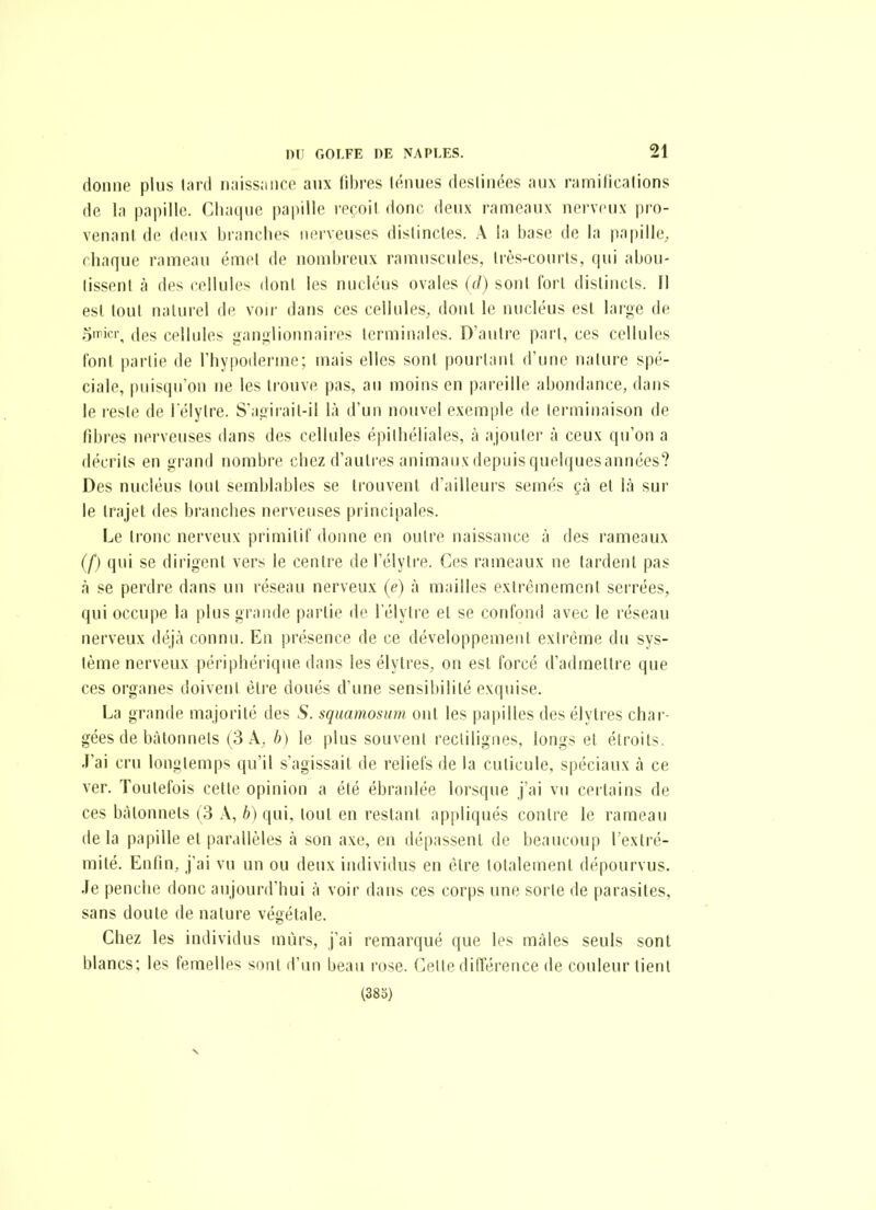 donne plus lard iiaiss;ii)co aux fibres lénues deslinées aux ramificalions de la papille. Chaque papille reçoil donc deux rameaux nerveux pro- venant de deux branches nerveuses distinctes. A la base de la papille, ( haque rameau émet de nombreux ramuscules, très-courts, qui abou- tissent à des cellules dont les nucléus ovales ((/) sont fort distincts. Il est loul naturel de voir dans ces cellules, dont le nucléus est large de oiTiicr, fies cellules liangiionnaires terminales. D'autre part, ces cellules font partie de l'hypoderme; mais elles sont pourtant d'une nature spé- ciale, puisqu'on ne les trouve pas, au moins en pareille abondance, dans le reste de l'élytre. S'apirait-il là d'un nouvel exemple de terminaison de fibres nerveuses dans des cellules épithéliales, à ajouter à ceux qu'on a décrits en grand nombre chez d'autres animaux depuis quelquesannées? Des nucléus tout semblables se trouvent d'ailleurs semés çà et là sur le trajet des branches nerveuses principales. Le tronc nerveux primitif donne en outre naissance à des rameaux (/) qui se dirigent vers le centre de l'élytre. Ces rameaux ne tardent pas à se perdre dans un réseau nerveux (e) à mailles extrêmement serrées, qui occupe la plus grande partie de l'élytre et se confond avec le réseau nerveux déjà connu. En présence de ce développement extrême du sys- tème nerveux périphérique dans les élytres, on est forcé d'admettre que ces organes doivent être doués d'une sensibilité exquise. La grande majorité des S. squamosum ont les papilles des élytres char- gées de bâtonnets (3 A, b) le plus souvent rectilignes, longs et étroits. J'ai cru longtemps qu'il s'agissait de reliefs de la cuticule, spéciaux à ce ver. Toutefois cette opinion a été ébranlée lorsque j'ai vu certains de ces bâtonnets (3 A, b) qui, tout en restant appliqués contre le rameau delà papille et parallèles à son axe, en dépassent de beaucoup l'extré- mité. Enfin, j'ai vu un ou deux individus en être totalement dépourvus. Je penche donc aujourd'hui à voir dans ces corps une sorte de parasites, sans doute de nature végétale. Chez les individus murs, j'ai remarqué que les mâles seuls sont blancs; les femelles sont d'un beau rose. Cette différence de couleur tient (383)