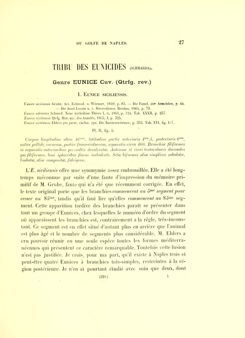 TIIIIU DES EIMCIDES (schmarua). Genre EUNICE Cuv. (Qtrfg. rev.) 1. EUMCE SICiLlEASlS. Euitice sirilittnsis Grulje, Atl. Eihinod. u. AVûrnier. 1840, p. 83. — Die Famil. der Anneliden, p. 44. — Die Insel Liissin u. i. iMeeresfauiia. Bieslaii, 1864, p. 79. Eiiiiire ndnaticii Sfliiiird. Neue wirbeilose Tliiere l, 11, 1861, p. l'24. Tal) XXXll, p. 257. Eiiiiuf ^icilu'ii.sii Qtii'y. llisl. nai. des Annelés, 1865, 1, p. 325. Euiiice sinlien.\is Elileis pru parle. e.vclus. syii. Die Borsienwûrnier, p. 353. Tab. XVI, lig. 1-7. Pl. 11, lig. 5. Corpus loiifiifiidiiif ultra I^*, latitudiiie partis anterioris 4^,5^ posterioris 6°, anticepolVidi; nirnc/mi. pustice fnsco-violaceum, seginentis circa 460. BrancMœ filiformes il) scfiiiieiitis aiiteriorihiis peDimlits (lesnlcratœ. Antennce et cirri tentacidares dorsuales ipic fdlformes, hast sphœralas flacas iiichtdode. Setce Informes cdiœ simpUces subulcdœ, lindxdce, cdiœ compositœ, fcdcigera'. L E. siciliensis ollVe une synonymie ;issez embi'ouillée. Elle a été long- lemps méconnue |);h- suite d'une faute d'impression du mémoire pri- mitif de M. Gi'ube, faulequi n'a élé que récemment corrigée. En effet, le texte original porte que les hvunclùe^ commencent au o'*' segment pour cesser au 80'*^, tandis qu'il faut lire qu'elles commencent au 8o'«e seg- ment. Celle apparition tardive des branchies paraît se présenter dans tout un groupe d'Eunices, chez lesquelles le numéro d'ordre du segment où apparaissent les branchies est, contrairement a la règle, très-incons- tant. Ce segment est en elïel situé d'autant plus en arrière que l'animal est plus âgé el le nombre de segments plus considérable. M. Ehlers a cru pouvoir réunir en une seule espèce toutes les formes méditerra- néennes qui présentent ce caractère remarquable. Toulelbis celte fusion n'est pas jusliiiée. Je crois, pour ma pai t, qu'il existe à INaples trois el peut-être quatre Eunices à branchies très-simples, restreintes à la ré- gion postérieure. Je n'en ai pourtant étudié avec soin que deux, dont (391) -i