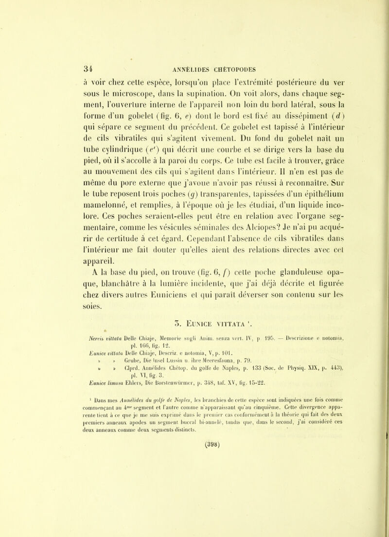 à voir chez celle espèce, lorsqu'on place l'exlrémité postérieure du ver sous le microscope, dans la supination. On voit alors, dans chaque seg- ment, l'ouverture interne de l'appareil non loin du bord latéral, sous la forme d'un gobelet (fig. 6, e) dont le bord est fixé au dissépimenl {d) qui sépare ce segment du précédent. Ce gobelet est tapissé à l'intérieur de cils vibratiles qui s'agitent vivement. Du fond du gobelet naîl un lube cylindrique {e') qui décrit une couibe et se dirige vers la base du pied, où il s'accolle à la paroi du corps. Ce tube est facile à trouver, grâce au mouvement des cils qui s'agitent dans l'intérieur. 11 n'en est pas de même du pore externe que j'avoue n'avoir pas réussi à reconnaître. Sur le tube reposent trois poches ig) transparentes, tapissées d'un épithélium mamelonné, et remplies, à l'époque où je les étudiai, d'un liquide inco- lore. Ces poches seraient-elles peut être en relation avec l'organe seg- menlaire, comme les vésicules séminales des Alciopes? Je n'ai pu acqué- rir de cerlitude à cet égard. Cependant l'absence de cils vibratiles dans l'intérieur me fait douter qu'elles aient des relations directes avec cel appareil. A la base du pied, on trouve (fig. 6, /') cette poche glanduleuse opa- que, blanchâtre à la lumière incidente, que j'ai déjà décrite et figurée chez divers autres Euniciens el qui paraît déverser son contenu sur les soies. 3. EUNICE VITTATA '. iVe/r/6 villala Délie Cliiaje, RIemorie sugli Anini. senza verl. IV, p 195. — Descrizione e iiotoniia, pl. IGfi, lig. 12. Eunice vittalu Délie Cliiaje, Descriz. e nolomia, V, p. 101. )) » Gi'ube, Die Insel Lussin u. ihre Meeresfauna, p. 79. » y> Clprd. Aiinélides Chélop. du golfe de Naples, p. 133 (Soc. de Physiq. XIX, p. 443), pl. VI, fig. 3. Eunice limusu Ehleis, Die borstenwùrmcr, p. 348, taf. XV, fig. 15-22. ' Dans mes Annélides du yolfe de Naples, les branchies de celle espèce sont indiquées une fois comme commençant au 4>'^ segment et l'autre comme n'apparaissant qu'au cinquième. Celte divergence appa- rente lient à ce que je me suis exprimé dans le premier cas conformément à la théorie qui fait des deux pi'emiers anneaux apodes un segment buccal bi-annelé, tandis que, dans le second, j'ai considéré ces deux anneaux comme deux segments distincts. (398)