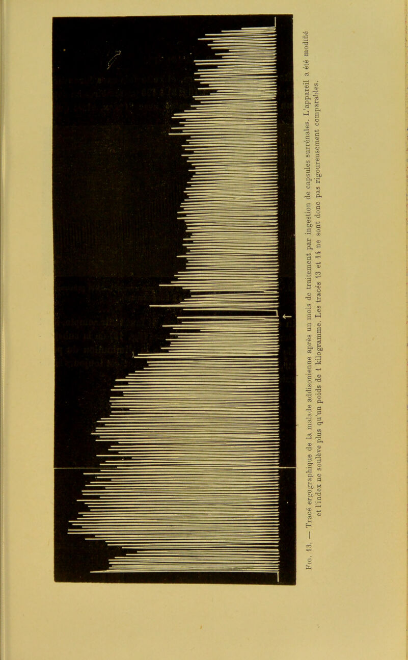 Fig. 13. — Tracé ergo graphique de la malade addisonienne après un mois de traitement par ingestion de capsules surrénales, L* appareil et l’index 11e soulève plus qu’un poids de 1 kilogramme. Les tracés 13 et 14 ne sont donc pas rigoureusement comparables.