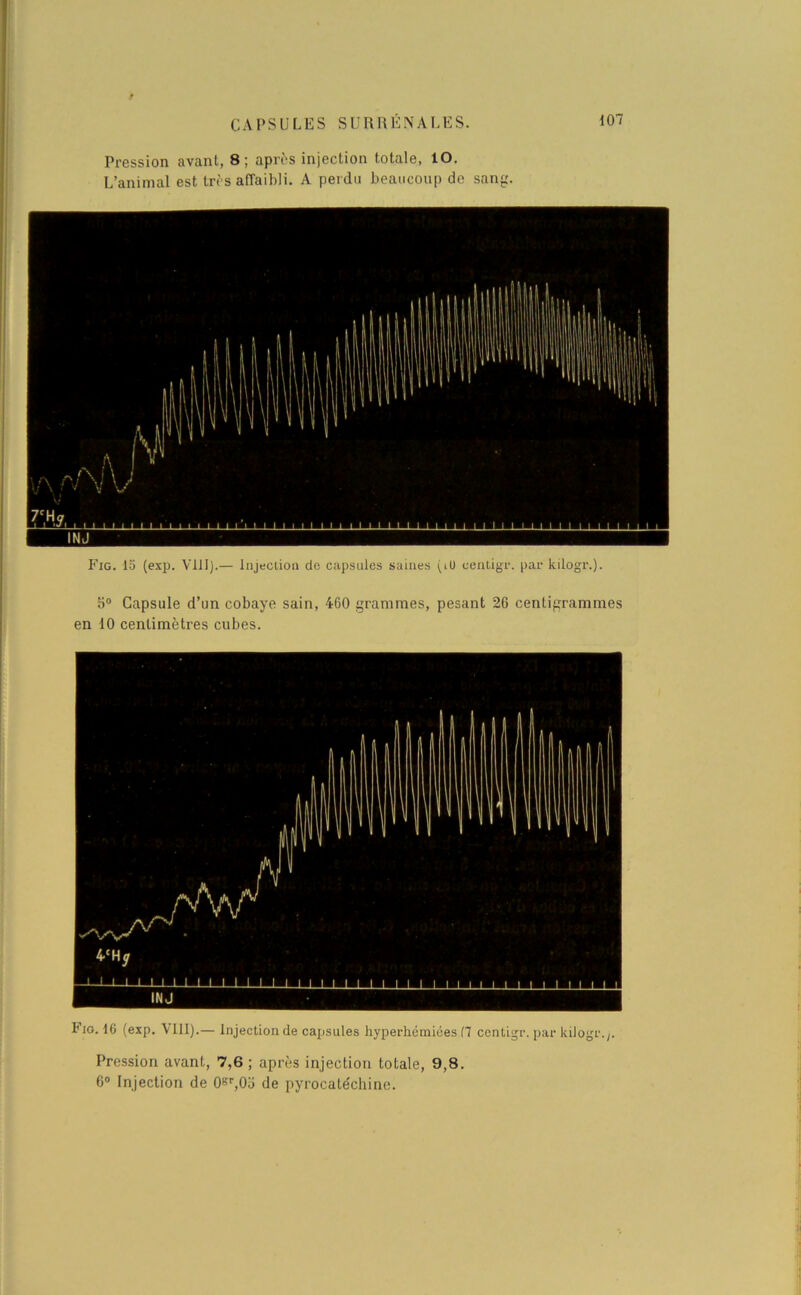 Pression avant, 8; après injection totale, ÎO. L’animal est très affaibli. A perdu beaucoup de sang. Fig. 15 (esp. VIII).— Injection de capsules saines (tü eentigr. par kilogr.). b° Capsule d’un cobaye sain, 460 grammes, pesant 26 centigrammes en 10 centimètres cubes. Fio. 16 (exp. VIII).— Injection de capsules hyperhémiées (7 eentigr. par kilogr.;. Pression avant, 7,6 ; après injection totale, 9,8. 6° Injection de 0gr,0o de pyrocatécliine.