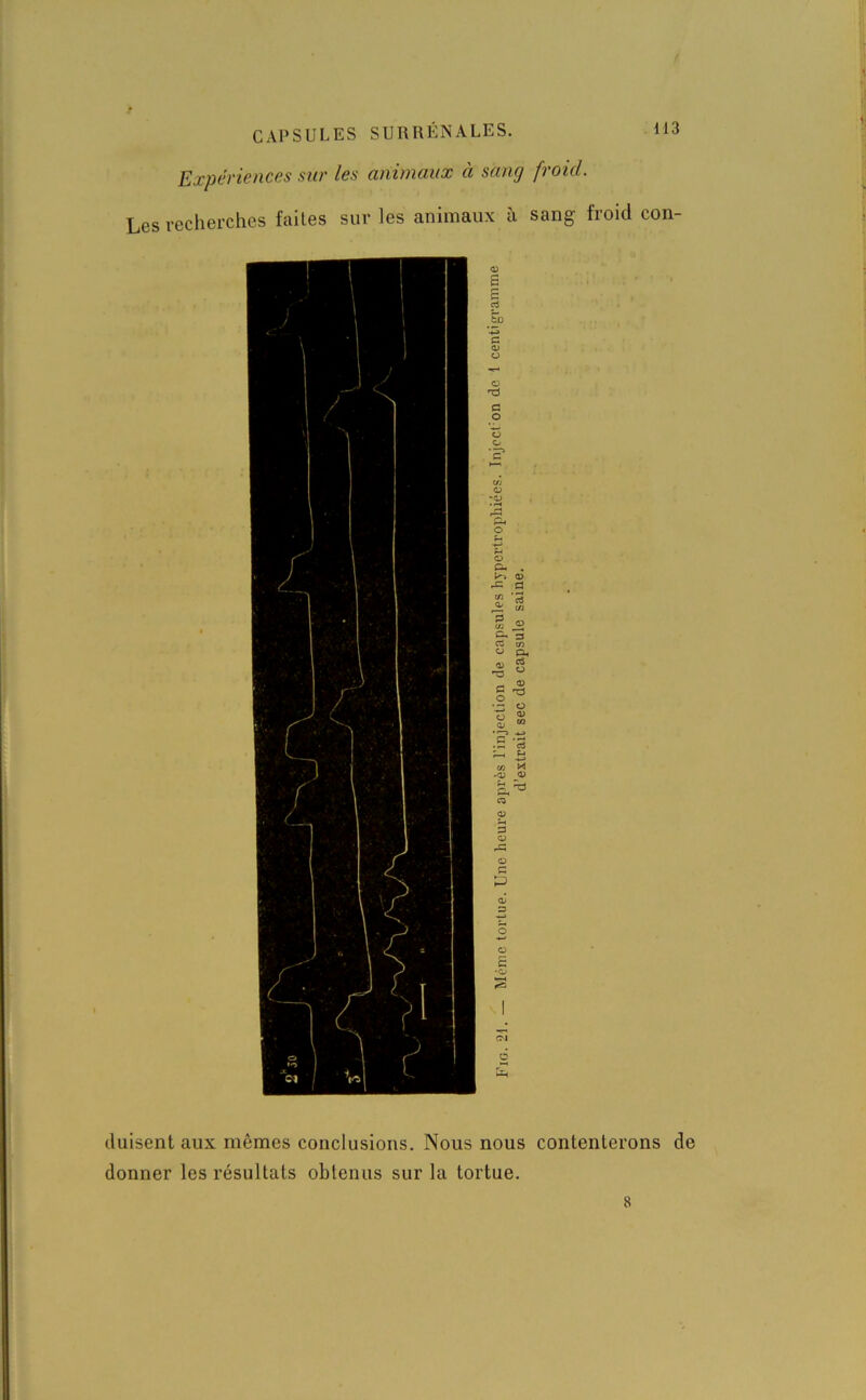 Expériences sur les animaux à sang froid. Les recherches faites sur les animaux à sang froid con- <D S B a o P O O ‘03 P* O eu . V'~i Q) rC a si s & « s « P-» es o _ «D § ^ o Tl <D 03 03 c/3 H ^2) JV Cl <p 3 o <D c P 03 3 O £ g P duisent aux mêmes conclusions. Nous nous contenterons de donner les résultats obtenus sur la tortue. 8