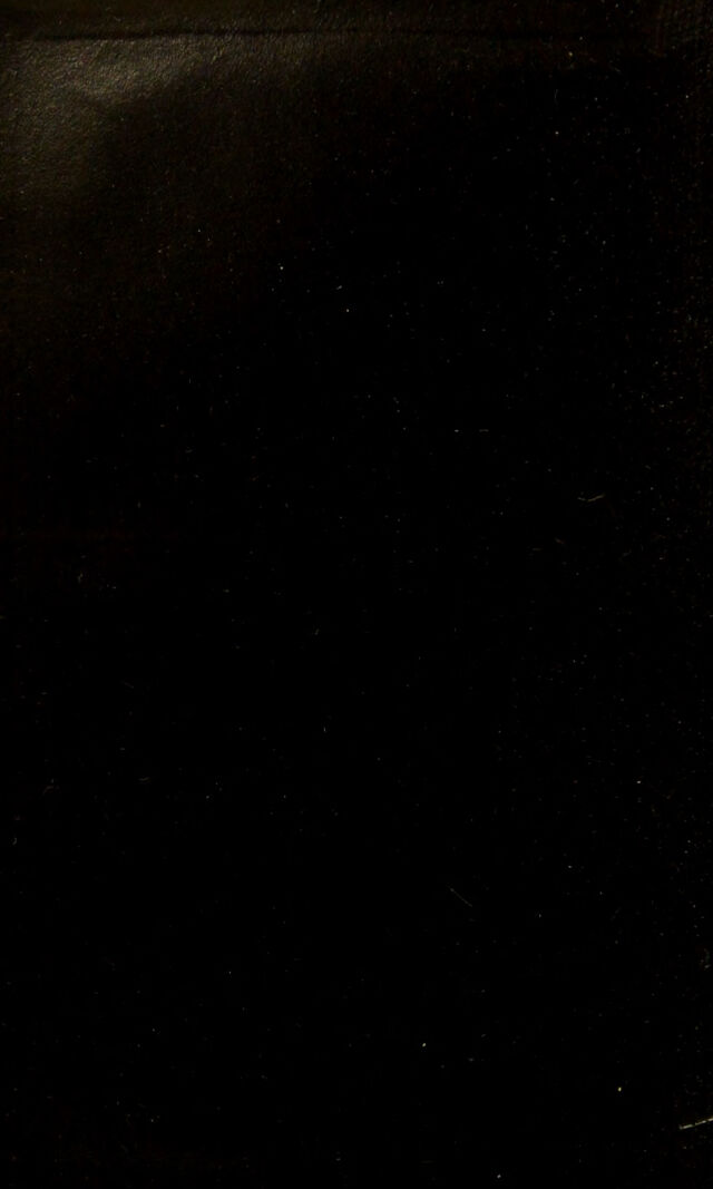 digitised image 2