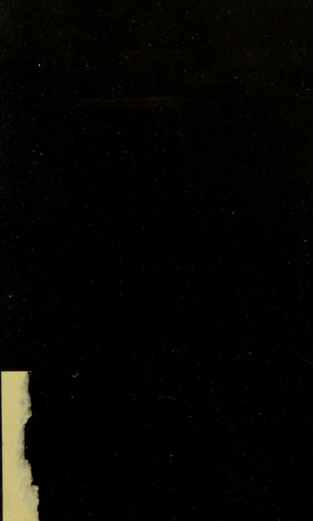 digitised image 3