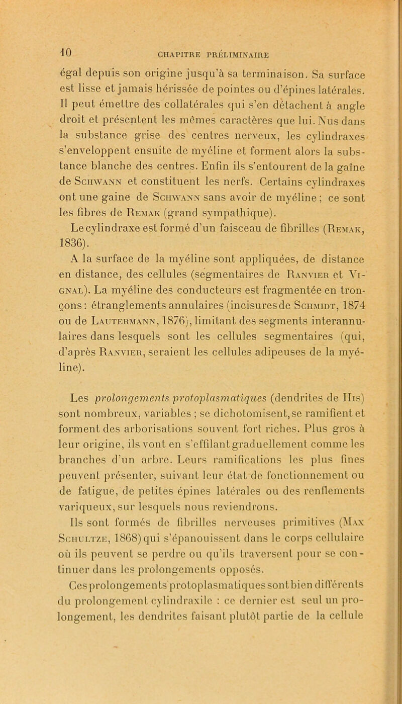 égal depuis son origine jusqu’à sa terminaison. Sa surface est lisse et jamais hérissée de pointes ou d’épines latérales. Il peut émettre des collatérales qui s’en détachent à angle droit et présentent les mêmes caractères que lui. Nus dans la substance grise des centres nerveux, les cylindraxes s’enveloppent ensuite de myéline et forment alors la subs- tance blanche des centres. Enfin ils s’entourent de la gaine de Schwann et constituent les nerfs. Certains cylindraxes ont une gaine de Schwann sans avoir de myéline; ce sont les fibres de Remak (grand sympathique). Lecylindraxe est formé d’un faisceau de fibrilles (Remak, 1836). A la surface de la myéline sont appliquées, de distance en distance, des cellules (segmentaires de Ranvier et Yi- gnal). La myéline des conducteurs est fragmentée en tron- çons: étranglements annulaires (incisuresde Schmidt, 1874 ou de Lautermann, 1876), limitant des segments interannu- laires dans lesquels sont les cellules segmentaires (qui, d’après Ranvier, seraient les cellules adipeuses de la myé- line). Les prolongements protoplasmatiques (dendrites de His) sont nombreux, variables ; se dichotomisent,se ramifient et forment des arborisations souvent fort riches. Plus gros à leur origine, ils vont en s’effilant graduellement comme les branches d’un arbre. Leurs ramifications les plus fines peuvent présenter, suivant leur état de fonctionnement ou de fatigue, de petites épines latérales ou des renflements variqueux, sur lesquels nous reviendrons. Ils sont formés de fibrilles nerveuses primitives (Max Sciiult/.e, 1868) qui s’épanouissent dans le corps cellulaire où ils peuvent se perdre ou qu’ils traversent pour se con- tinuer dans les prolongements opposés. Cesprolongements protoplasmatiquesson t bien différents du prolongement cylindraxile : ce dernier est seul un pro- longement, les dendrites faisant plutôt partie de la cellule