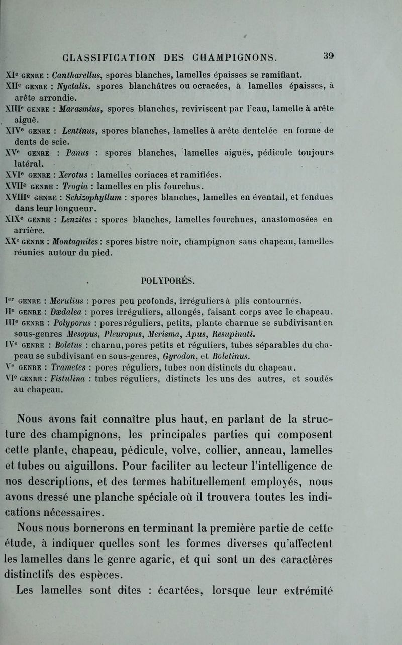 CLASSIFICATION DES CHAMPIGNONS. XIe genre : Cantharellus, spores blanches, lamelles épaisses se ramifiant. XIIe genre : Nyctalis. spores blanchâtres ou ocracées, à lamelles épaisses, à arête arrondie. XIIIe genre : Marasmius, spores blanches, reviviscent par l’eau, lamelle à arête aiguë. XIVe genre : Lentinus, spores blanches, lamelles à arête dentelée en forme de dents de scie. XVe genre : Panus : spores blanches, lamelles aiguës, pédicule toujours latéral. XVIe genre : Xerotus : lamelles coriaces et ramifiées. XVIIe genre : Trogia : lamelles en plis fourchus. XVIIIe genre : Schizophyllum : spores blanches, lamelles en éventail, et fendues dans leur longueur. XIXe genre : Lenzites : spores blanches, lamelles fourchues, anastomosées en arrière. XXe genre : Montagnites : spores bistre noir, champignon sans chapeau, lamelles- réunies autour du pied. POLYPORÉS. Ier genre : Memlius : pores peu profonds, irréguliers à plis contournés. IIe genre : Bædalea : pores irréguliers, allongés, faisant corps avec le chapeau. IIIe genre : Polyporus : pores réguliers, petits, plante charnue se subdivisant en sous-genres Mesopus, Pleuropus, Merisma, Apus, Resupmati. IVe genre : Boletus : charnu, pores petits et réguliers, tubes séparables du cha- peau se subdivisant en sous-genres, Gyrodon, et Boletinus. Ve genre : Trametes : pores réguliers, tubes non distincts du chapeau. VIe genre : Fistulina : tubes réguliers, distincts les uns des autres, et soudés au chapeau. Nous avons fait connaître plus haut, en parlant de la struc- ture des champignons, les principales parties qui composent cette planie, chapeau, pédicule, volve, collier, anneau, lamelles et tubes ou aiguillons. Pour faciliter au lecteur l’intelligence de nos descriptions, et des termes habituellement employés, nous avons dressé une planche spéciale où il trouvera toutes les indi- cations nécessaires. Nous nous bornerons en terminant la première partie de cette étude, à indiquer quelles sont les formes diverses qu’affectent les lamelles dans le genre agaric, et qui sont un des caractères distinctifs des espèces. Les lamelles sont dites : écartées, lorsque leur extrémité