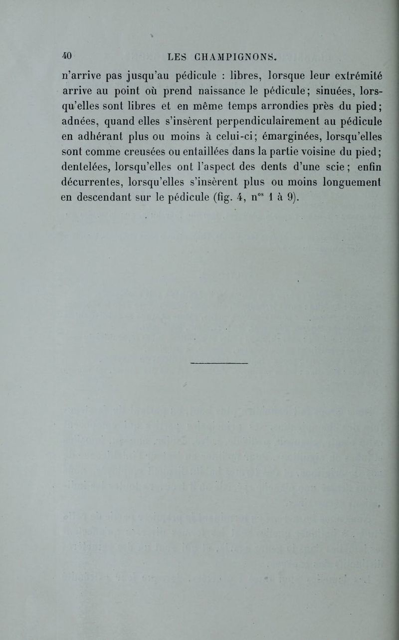 n’arrive pas jusqu’au pédicule : libres, lorsque leur extrémité arrive au point où prend naissance le pédicule; sinuées, lors- qu’elles sont libres et en même temps arrondies près du pied; adnées, quand elles s’insèrent perpendiculairement au pédicule en adhérant plus ou moins à celui-ci; émarginées, lorsqu’elles sont comme creusées ou entaillées dans la partie voisine du pied; dentelées, lorsqu’elles ont l’aspect des dents d’une scie; enfin décurrentes, lorsqu’elles s’insèrent plus ou moins longuement en descendant sur le pédicule (fig. 4, nos 1 à 9).