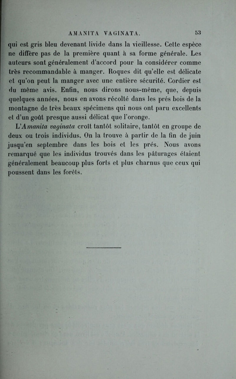 A M À NIT A YAGINATA. 53 qui est gris bleu devenant livide dans la vieillesse. Celte espèce ne diffère pas de la première quant à sa forme générale. Les auteurs sont généralement d’accord pour la considérer comme très recommandable à manger. Roques dit qu’elle est délicate et qu’on peut la manger avec une entière sécurité. Cordier est du même avis. Enfin, nous dirons nous-même, que, depuis quelques années, nous en avons récolté dans les prés bois de la montagne de très beaux spécimens qui nous ont paru excellents et d’un goût presque aussi délicat que l’oronge. L'Amanita vaginata croît tantôt solitaire, tantôt en groupe de deux ou trois individus. On la trouve à partir de la fin de juin jusqu’en septembre dans les bois et les prés. Nous avons remarqué que les individus trouvés dans les pâturages étaient généralement beaucoup plus forts et plus charnus que ceux qui poussent dans les forêts.