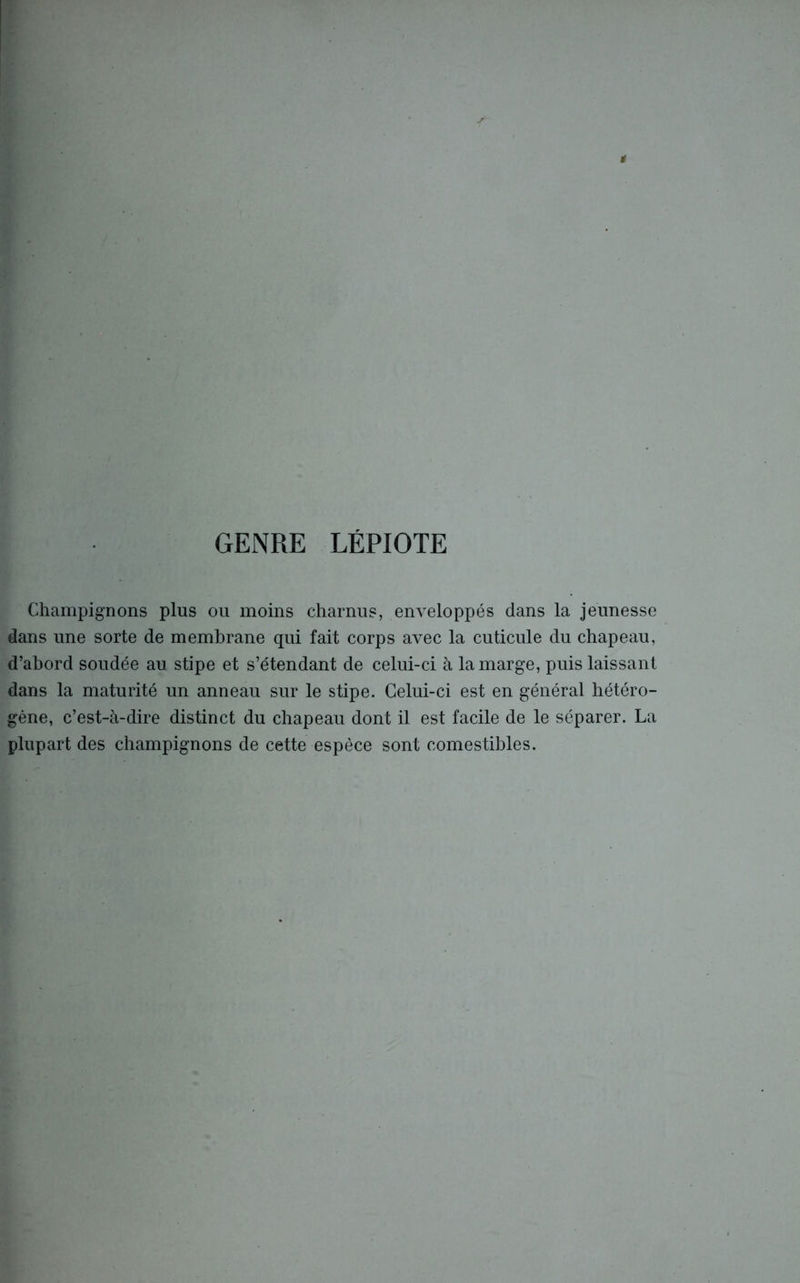GENRE LÉPIOTE Champignons plus ou moins charnus, enveloppés dans la jeunesse dans une sorte de membrane qui fait corps avec la cuticule du chapeau, d’abord soudée au stipe et s’étendant de celui-ci à la marge, puis laissant dans la maturité un anneau sur le stipe. Celui-ci est en général hétéro- gène, c’est-à-dire distinct du chapeau dont il est facile de le séparer. La plupart des champignons de cette espèce sont comestibles.
