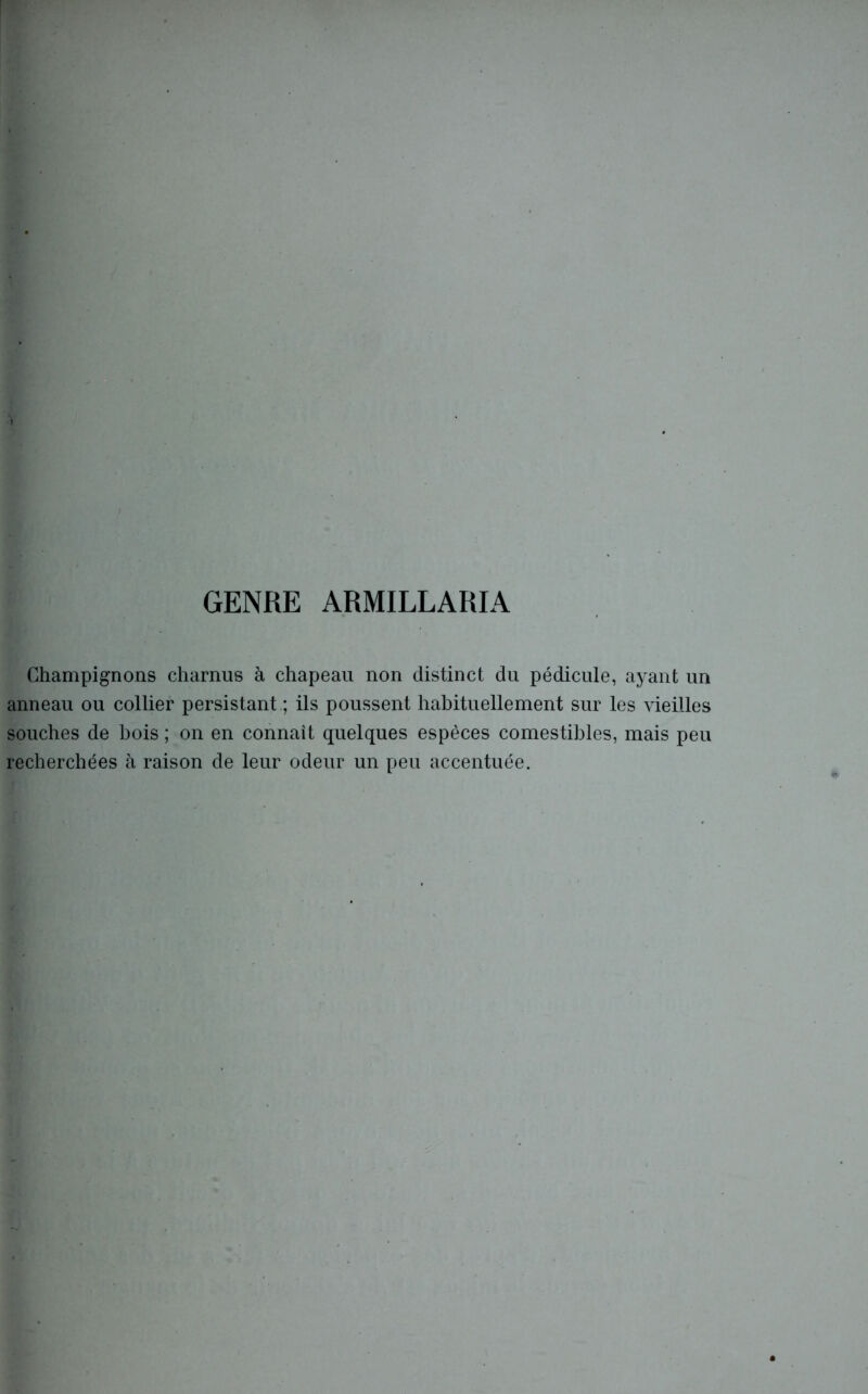 GENRE ARMILLARIA Champignons charnus à chapeau non distinct du pédicule, ayant un anneau ou collier persistant ; ils poussent habituellement sur les vieilles souches de bois ; on en connaît quelques espèces comestibles, mais peu recherchées à raison de leur odeur un peu accentuée.
