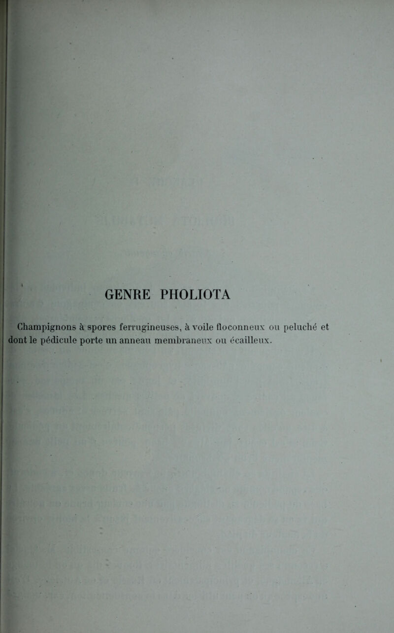 GENRE PHOLIOTA Champignons à spores ferrugineuses, à voile floconneux ou peluché et dont le pédicule porte un anneau membraneux ou écailleux.