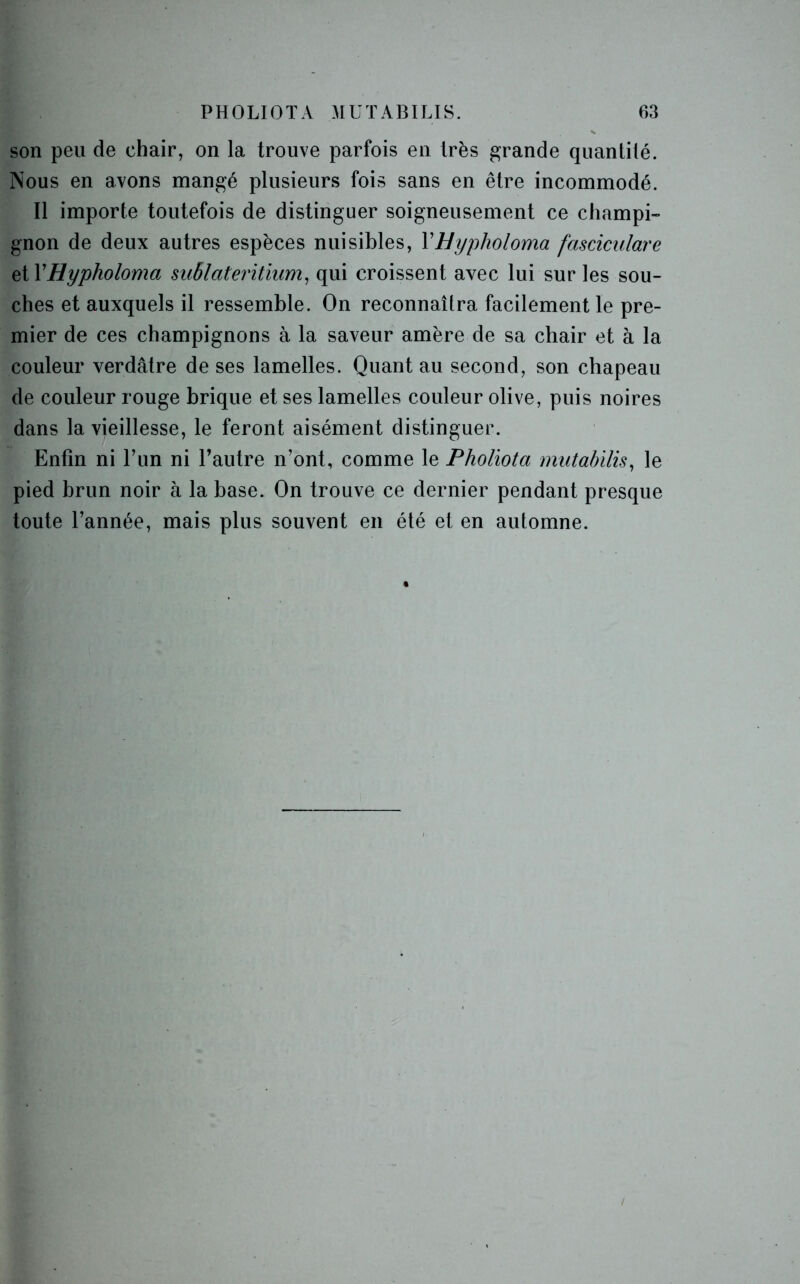 PHOLIOTA MUT ABILIS. 63 son peu de chair, on la trouve parfois en très grande quantité. Nous en avons mangé plusieurs fois sans en être incommodé. Il importe toutefois de distinguer soigneusement ce champi- gnon de deux autres espèces nuisibles, Y Hypholoma fasciculare et Y Hypholoma sublateritium, qui croissent avec lui sur les sou- ches et auxquels il ressemble. On reconnaîtra facilement le pre- mier de ces champignons à la saveur amère de sa chair et à la couleur verdâtre de ses lamelles. Quant au second, son chapeau de couleur rouge brique et ses lamelles couleur olive, puis noires dans la vieillesse, le feront aisément distinguer. Enfin ni l’un ni l’autre n’ont, comme le Pholiota mutabilis, le pied brun noir à la base. On trouve ce dernier pendant presque toute l’année, mais plus souvent en été et en automne.
