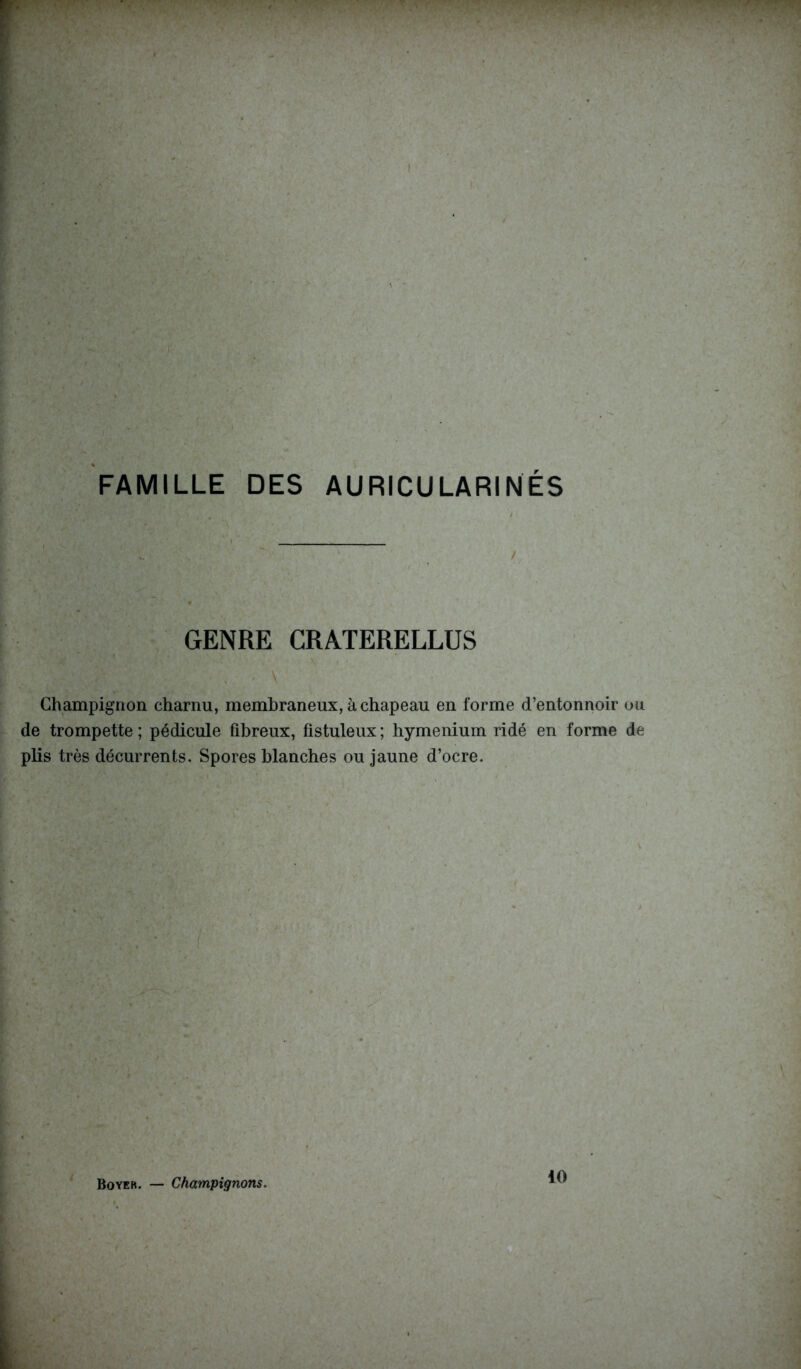 FAMILLE DES AURICULARINÉS / GENRE CRATERELLUS Champignon charnu, membraneux, à chapeau en forme d’entonnoir ou de trompette ; pédicule fibreux, fistuleux ; hyménium ridé en forme de plis très décurrents. Spores blanches ou jaune d’ocre. Boyer. — Champignons.