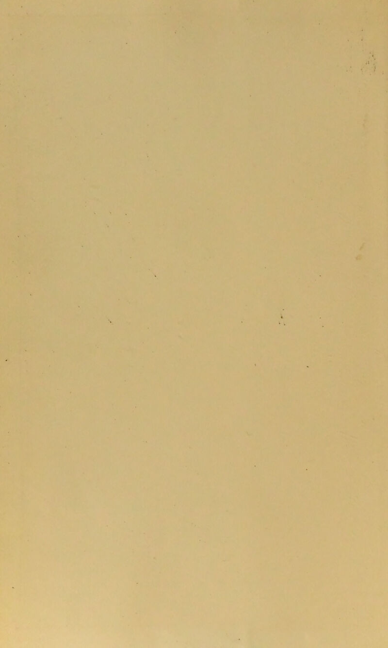 *■ ' ’ i J * ■' i A, IV J 1 I .»H, >' • / « \ %