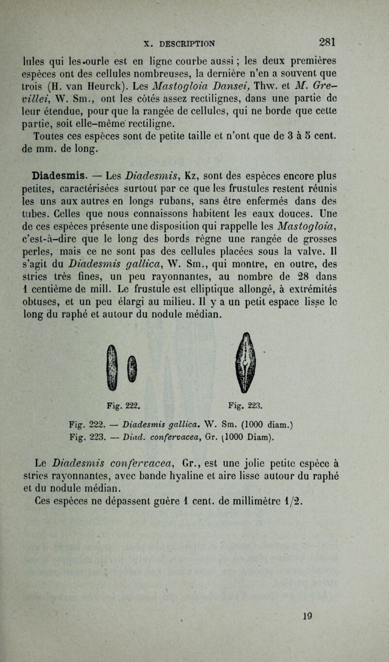 Iules qui les .ourle est en ligne courbe aussi ; les deux premières espèces ont des cellules nombreuses, la dernière n’en a souvent que trois (H. van Heurck). Les Mastogloia Dansei, Thw. et M. Gre— villei, W. Sm., ont les côtés assez rectilignes, dans une partie de leur étendue, pour que la rangée de cellules, qui ne borde que cette partie, soit elle-même rectiligne. Toutes ces espèces sont de petite taille et n’ont que de 3 à 5 cent, de mm. de long. Diadesmis. — Les Diadesmis, Kz, sont des espèces encore plus petites, caractérisées surtout par ce que les frustules restent réunis les uns aux autres en longs rubans, sans être enfermés dans des tubes. Celles que nous connaissons habitent les eaux douces. Une de ces espèces présente une disposition qui rappelle les Mastogloia, c’est-à-dire que le long des bords règne une rangée de grosses perles, mais ce ne sont pas des cellules placées sous la valve. Il s’agit du Diadesmis gallica, W. Sm., qui montre, en outre, des stries très fines, un peu rayonnantes, au nombre de 28 dans 1 centième de mill. Le frustule est elliptique allongé, à extrémités obtuses, et un peu élargi au milieu. Il y a un petit espace lisse le long du raphé et autour du nodule médian. Fig. 222. Fig. 223. Fig. 222. — Diadesmis gallica. W. Sm. (1000 diam.) Fig. 223. — Diad. confervacea, Gr. (1000 Diam). Le Diadesmis confervacea, Gr., est une jolie petite espèce à stries rayonnantes, avec bande hyaline et aire lisse autour du raphé et du nodule médian. Ces espèces ne dépassent guère 1 cent, de millimètre 1/2. 19