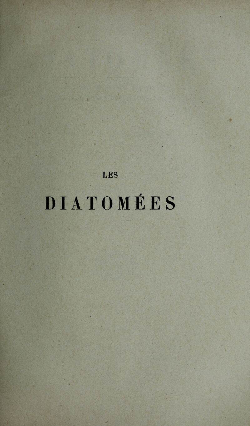 DIATOMÉES