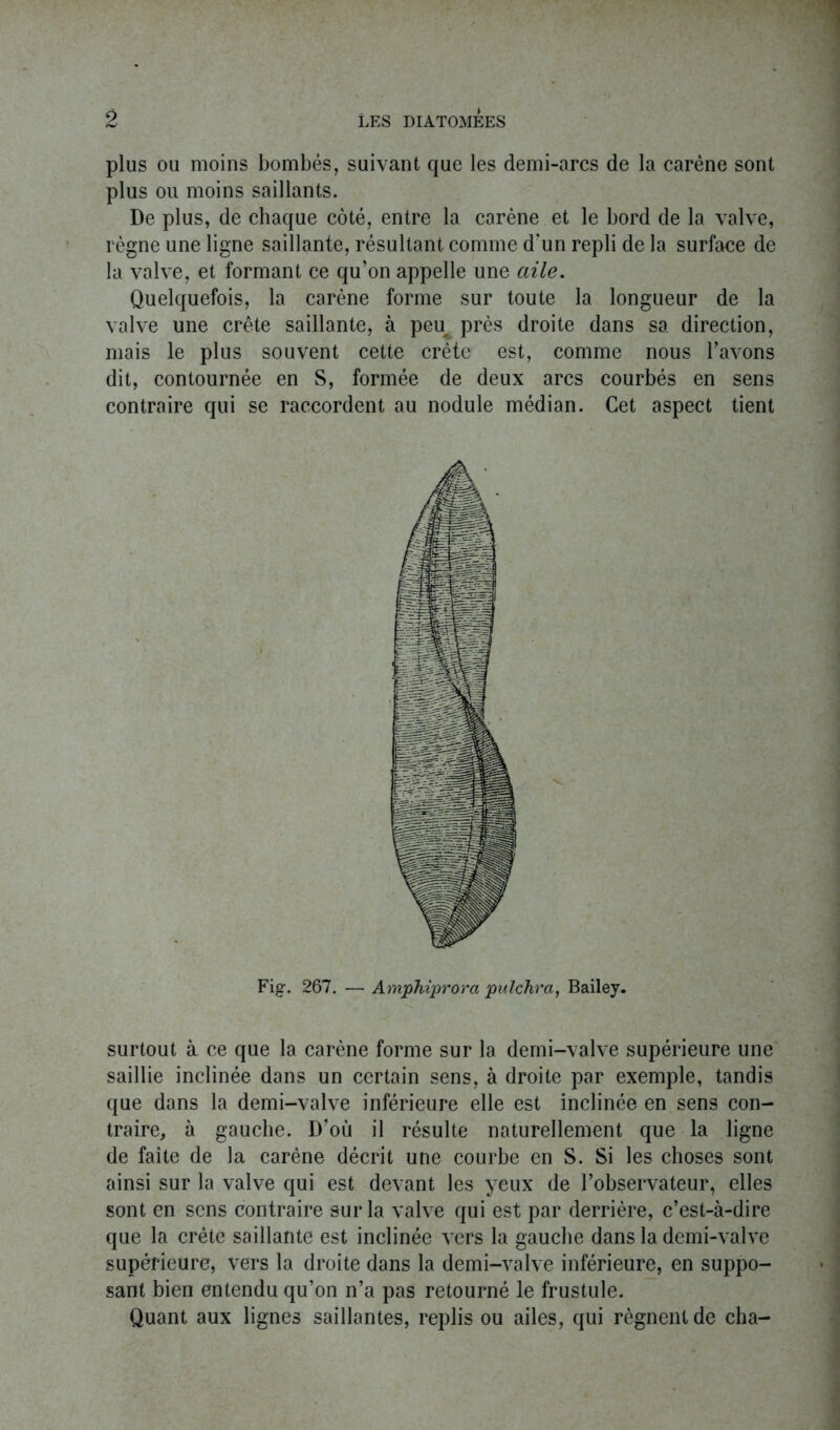 plus ou moins bombés, suivant que les demi-arcs de la carène sont plus ou moins saillants. De plus, de chaque côté, entre la carène et le bord de la valve, règne une ligne saillante, résultant comme d'un repli de la surface de la valve, et formant ce qu’on appelle une aile. Quelquefois, la carène forme sur toute la longueur de la valve une crête saillante, à peu près droite dans sa direction, mais le plus souvent cette crête est, comme nous l’avons dit, contournée en S, formée de deux arcs courbés en sens contraire qui se raccordent au nodule médian. Cet aspect tient Fig. 267. — Amphiprora pulchra, Bailey. surtout à ce que la carène forme sur la demi-valve supérieure une saillie inclinée dans un certain sens, à droite par exemple, tandis que dans la demi-valve inférieure elle est inclinée en sens con- traire, à gauche. D’où il résulte naturellement que la ligne de faîte de la carène décrit une courbe en S. Si les choses sont ainsi sur la valve qui est devant les yeux de l’observateur, elles sont en sens contraire sur la valve qui est par derrière, c’est-à-dire que la crête saillante est inclinée vers la gauche dans la demi-valve supérieure, vers la droite dans la demi-valve inférieure, en suppo- sant bien entendu qu’on n’a pas retourné le frustule. Quant aux lignes saillantes, replis ou ailes, qui régnent de cha-