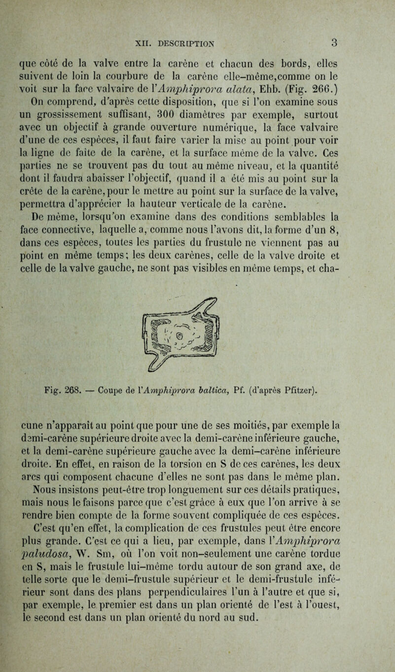 que côté de la valve entre la carène et chacun des bords, elles suivent de loin la courbure de la carène elle-même,comme on le voit sur la face valvaire de YAmphiprora alata, Ehb. (Fig. 266.) On comprend, d'après cette disposition, que si l’on examine sous un grossissement suffisant, 300 diamètres par exemple, surtout avec un objectif à grande ouverture numérique, la face valvaire d’une de ces espèces, il faut faire varier la mise au point pour voir la ligne de faîte de la carène, et la surface même de la valve. Ces parties ne se trouvent pas du tout au même niveau, et la quantité dont il faudra abaisser l’objectif, quand il a été mis au point sur la crête de la carène, pour le mettre au point sur la surface de la valve, permettra d’apprécier la hauteur verticale de la carène. De même, lorsqu'on examine dans des conditions semblables la face connective, laquelle a, comme nous l’avons dit, la forme d’un 8, dans ces espèces, toutes les parties du frustulo ne viennent pas au point en même temps; les deux carènes, celle de la valve droite et celle de la valve gauche, ne sont pas visibles en même temps, et cha- Fig. 268. — Coupe de YAmphiprora baltica, Pf. (d’après Pfitzer). cune n’apparaît au point que pour une de ses moitiés, par exemple la demi-carène supérieure droite avec la demi-carène inférieure gauche, et la demi-carène supérieure gauche avec la demi-carène inférieure droite. En effet, en raison de la torsion en S de ces carènes, les deux arcs qui Composent chacune d’elles ne sont pas dans le même plan. Nous insistons peut-être trop longuement sur ces détails pratiques, mais nous le faisons parce que c’est grâce à eux que l’on arrive à se rendre bien compte de la forme souvent compliquée de ces espèces. C’est qu’en effet, la complication de ces frustules peut être encore plus grande. C’est ce qui a lieu, par exemple, dans YAmphiprora paludosa, W. Sm, où l’on voit non-seulement une carène tordue en S, mais le frustule lui-même tordu autour de son grand axe, de telle sorte que le demi-frustule supérieur et le demi-frustule infé- rieur sont dans des plans perpendiculaires l’un à l’autre et que si, par exemple, le premier est dans un plan orienté de l’est à l’ouest, le second est dans un plan orienté du nord au sud.