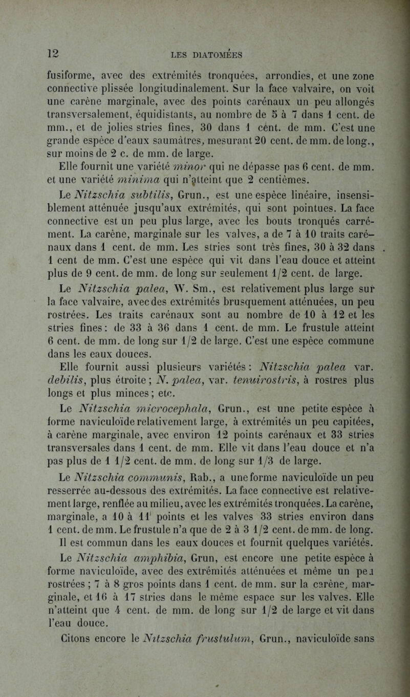 fusiforme, avec des extrémités tronquées, arrondies, et une zone connective plissée longitudinalement. Sur la face valvaire, on voit une carène marginale, avec des points carénaux un peu allongés transversalement, équidistants, au nombre de 5 à 7 dans 1 cent, de mm., et de jolies stries fines, 30 dans 1 cént. de mm. C’est une grande espèce d'eaux saumâtres, mesurant 20 cent, de mm. de long., sur moins de 2 c. de mm. de large. Elle fournit une variété minor qui ne dépasse pas 6 cent, de mm. et une variété minima qui n’atteint que 2 centièmes. Le Nitzschia subtilis, Grun., est une espèce linéaire, insensi- blement atténuée jusqu’aux extrémités, qui sont pointues. La face connective est un peu plus large, avec les bouts tronqués carré- ment. La carène, marginale sur les valves, a de 7 à 10 traits caré- naux dans 1 cent, de mm. Les stries sont très fines, 30 à 32 dans 1 cent de mm. C’est une espèce qui vit dans l’eau douce et atteint plus de 9 cent, de mm. de long sur seulement 1/2 cent, de large. Le Nitzschia palea, W. Sm., est relativement plus large sur la face valvaire, avec des extrémités brusquement atténuées, un peu rostrées. Les traits carénaux sont au nombre de 10 à 12 et les stries fines : de 33 à 36 dans 1 cent, de mm. Le frustule atteint 6 cent, de mm. de long sur 1/2 de large. C’est une espèce commune dans les eaux douces. Elle fournit aussi plusieurs variétés : Nitzschia palea var. clebilis, plus étroite ; N. palea, var. tenuirostris, à rostres plus longs et plus minces ; etc. Le Nitzschia microcepliala, Grun., est une petite espèce à forme naviculoïde relativement large, à extrémités un peu capitées, à carène marginale, avec environ 12 points carénaux et 33 stries transversales dans 1 cent, de mm. Elle vit dans l’eau douce et n’a pas plus de 1 1/2 cent, de mm. de long sur 1/3 de large. Le Nitzschia communis, Rab., a une forme naviculoïde un peu resserrée au-dessous des extrémités. La face connective est relative- ment large, renflée au milieu, avec les extrémités tronquées. La carène, marginale, a 10 à IL points et les valves 33 stries environ dans 1 cent, de mm. Le frustule n’a que de 2 à 3 1/2 cent, de mm. de long. Il est commun dans les eaux douces et fournit quelques variétés. Le Nitzschia ampliibia, Grun, est encore une petite espèce à forme naviculoïde, avec des extrémités atténuées et même un pea rostrées ; 7 à 8 gros points dans 1 cent, de mm. sur la carène, mar- ginale, et 16 à 17 stries dans le même espace sur les valves. Elle n’atteint que 4 cent, de mm. de long sur 1/2 de large et vit dans l’eau douce. Citons encore le Nitzschia frustulum, Grun., naviculoïde sans