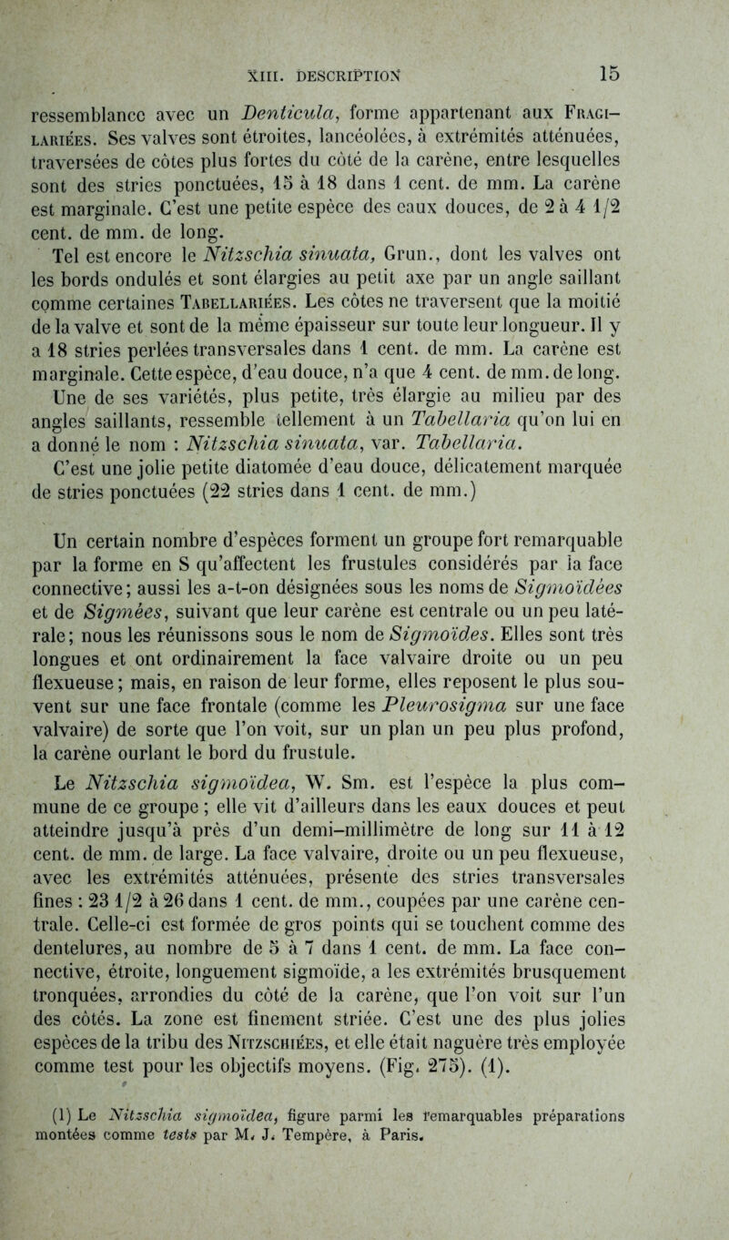 ressemblance avec un Denticula, forme appartenant aux Fragi- lariées. Ses valves sont étroites, lancéolées, à extrémités atténuées, traversées de côtes plus fortes du côté de la carène, entre lesquelles sont des stries ponctuées, 15 à 18 dans 1 cent, de mm. La carène est marginale. C’est une petite espèce des eaux douces, de 2 à 4 1/2 cent, de mm. de long. Tel est encore 1 q Nitzschia sinuata, Grun., dont les valves ont les bords ondulés et sont élargies au petit axe par un angle saillant comme certaines Tabellariées. Les côtes ne traversent que la moitié de la valve et sont de la même épaisseur sur toute leur longueur. Il y a 18 stries perlées transversales dans 1 cent, de mm. La carène est marginale. Cette espèce, d’eau douce, n’a que 4 cent, de mm.de long. Une de ses variétés, plus petite, très élargie au milieu par des angles saillants, ressemble tellement à un Tabellaria qu’on lui en a donné le nom : Nitzschia sinuata, var. Tabellaria. C’est une jolie petite diatomée d’eau douce, délicatement marquée de stries ponctuées (22 stries dans 1 cent, de mm.) Un certain nombre d’espèces forment un groupe fort remarquable par la forme en S qu’affectent les frustules considérés par la face connective; aussi les a-t-on désignées sous les noms de Sigmoïdèes et de Sigmêes, suivant que leur carène est centrale ou un peu laté- rale; nous les réunissons sous le nom de Sigmoïdes. Elles sont très longues et ont ordinairement la face valvaire droite ou un peu flexueuse ; mais, en raison de leur forme, elles reposent le plus sou- vent sur une face frontale (comme les Pleurosigma sur une face valvaire) de sorte que l’on voit, sur un plan un peu plus profond, la carène ourlant le bord du frustule. Le Nitzschia sigmoïdea, W. Sm. est l’espèce la plus com- mune de ce groupe ; elle vit d’ailleurs dans les eaux douces et peut atteindre jusqu’à près d’un demi-millimètre de long sur 11 à 12 cent, de mm. de large. La face valvaire, droite ou un peu flexueuse, avec les extrémités atténuées, présente des stries transversales fines : 23 1/2 à 26 dans 1 cent, de mm., coupées par une carène cen- trale. Celle-ci est formée de gros points qui se touchent comme des dentelures, au nombre de 5 à 7 dans 1 cent, de mm. La face con- nective, étroite, longuement sigmoïde, a les extrémités brusquement tronquées, arrondies du côté de la carène, que l’on voit sur l’un des côtés. La zone est finement striée. C’est une des plus jolies espèces de la tribu des Nitzschiées, et elle était naguère très employée comme test pour les objectifs moyens. (Fig. 275). (1). » (1) Le Nitzschia sigmoïdea, figure parmi lea remarquables préparations montées comme tests par M. J. Tempère, à Paris.