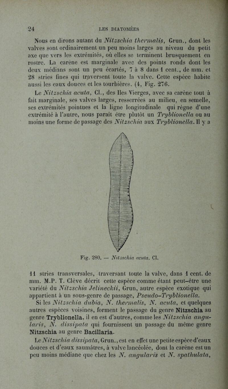 Nous en dirons autant du Nitzscliia thermales, Grun., dont les valves sont ordinairement un peu moins larges au niveau du petit axe que vers les extrémités, où elles se terminent brusquement en rostre. La carène est marginale avec des points ronds dont les deux médians sont un peu écartés, 7 à 8 dans 1 cent., de mm. et 28 stries fines qui traversent toute la valve. Cette espèce habite aussi les eaux douces et les tourbières. (4, Fig. 276. Le Nitzschia acuta, CL, des Iles Vierges, avec sa carène tout à fait marginale, ses valves larges, resserrées au milieu, en semelle, ses extrémités pointues et la ligne longitudinale qui règne d’une extrémité à l’autre, nous paraît être plutôt un Tryblionella ou au moins une forme de passage des Nitzschia aux Tryblionella. Il y a Fig. 280. — Nitzschia acuta. Cl. 11 stries transversales, traversant toute la valve, dans lcent.de mm. M.P. T. Clève décrit cette espèce comme étant peut-être une variété du Nitzschia Jelinechii, Grun, autre espèce exotique qui appartient à un sous-genre de passage, Pseudo-Tryblionella. Si les Nitzschia dubia, N. thermalis, N. acuta, et quelques autres espèces voisines, forment le passage du genre Nitzschia au genre Tryblionella, il en est d’autres, comme les Nitzschia angu- laris, N. dissipata qui fournissent un passage du même genre Nitzschia au genre Bacillaria. Le Nitzschia dissipata, Grun., est en effet une petite espèce d’eaux douces et d’eaux saumâtres, à valve lancéolée, dont la carène est un peu moins médiane que chez les N. angularis et N. spathulata,