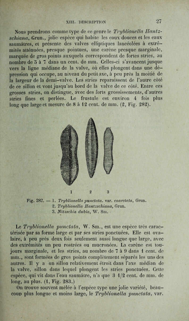 97 Nous prendrons comme type de ce genre le Tryblionella Hantz- schiana, Grun., jolie espèce qui habite les eaux douces et les eaux saumâtres, et présente des valves elliptiques lancéolées à extré- mités atténuées, presque pointues, une carène presque marginale, marquée de gros points auxquels correspondent de fortes stries, au nombre de 5 à 7 dans un cent, de mm. Celles-ci s’avancent jusque vers la ligne médiane de la valve, où elles plongent dans une dé- pression qui occupe, au niveau du petit axe, à peu près la moitié de la largeur de la demi-valve. Les stries reparaissent de l’autre côté de ce sillon et vont jusqu’au bord de la valve de ce côté. Entre ces grosses stries, on distingue, avec des forts grossissements, d’autres stries fines et perlées. Le frustule est environ 4 fois plus long que large et mesure de 8 à 12 cent, de mm. (2, Fig. 282). 12 3 Fig. 282. — 1. Tryblionellapunctata. var. coarctota, Grun. 2. Tryblionella Hantzschiana, Grun. 3. Nitzschia dubia, W. Sm. Le Tryblionella 'punctata, W. Sm., est une espèce très carac- térisée par sa forme large et par ses stries ponctuées. Elle est ova- laire, à peu près deux fois seulement aussi longue que large, avec des extrémités un peu rostrées ou mucronées. La carène est tou- jours marginale, et les stries, au nombre de 7 à 9 dans 1 cent, de mm., sont formées de gros points complètement séparés les uns des autres. Il y a un sillon relativement étroit dans l’axe médian de la valve, sillon dans lequel plongent les stries ponctuées. Cette espèce, qui vit dans l’eau saumâtre, n’a que 3 1/2 cent, de mm. de long, au plus. (1, Fig. 283.) On trouve souvent mêlée à l’espèce type une jolie variété, beau- coup plus longue et moins large, le Tryblionella punctata, var.