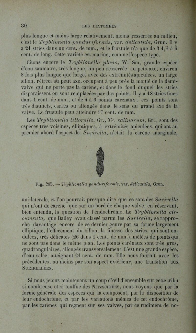 plus longue et moins large relativement, moins resserrée au milieu, c’est le Tryblionella panduriformis, var. delicatula, Grun. Il y a 21 stries dans un cent, de mm., et le frustule n’a que de 3 1/2 à 6 cent, de long. Cette variété est marine, comme l’espèce type. Citons encore le Tryblionella 'plana, W. Sm, grande espèce d’eau saumâtre, très longue, un peu resserrée au petit axe, environ 8 fois plus longue que large, avec des extrémitésapiculées, un large sillon, rétréci aü petit axe, occupant à peu près la moitié de la demi- valve qui ne porte pas la carène, et dans le fond duquel les stries disparaissent ou sont remplacées par des points. Il y a 18 stries fines dans 1 cent, de nnn., et de 4 à (3 points carénaux; ces points sont très distincts, carrés ou allongés dans le sens du grand axe de la valve. Le frustule peut atteindre 17 cent, de mm. Les Tryblionella littoralis, Gr., Tr. salinarum, Gr., sont des espèces très voisines, elliptiques, à extrémités apiculées, qui ont au premier abord l’aspect de Surirella, n’était la carène marginale, Fig- 285. — Tryblionella panduriformis, var. delicatula, Grun. uni-latérale, et l’on pourrait presque dire que ce sont des Surirella qui n’ont de carène que sur un bord de chaque valve, en réservant, bien entendu, la question de l’endochrome. Le Tryblionella cir- cumsuta, que Bailey avait classé parmi les Sarirella, se rappro- che davantage encore de ce dernier genre par sa forme largement elliptique, l’effacement du sillon, la finesse des stries, qui sont on- dulées, très délicates (26 dans 1 cent, de mm.), mêlées de points qui ne sont pas dans le même plan. Les points carénaux sont très gros, quadrangulaires, allongés transversalement. C’est une grande espèce, d’eau salée, atteignant 21 cent, de mm. Elle nous fournit avec les précédentes, au moins par son aspect extérieur, une transition aux Surirellées. Si nous jetons maintenant un coup d’œil d’ensemble sur cette tribu si nombreuse et si touffue des Nitzschiées, nous voyons que par la forme générale des espèces qui la composent, par la disposition de leur endochrôme, et par les variations mêmes de cet endochrôme, par les carènes qui régnent sur ses valves, par ce rudiment de no-