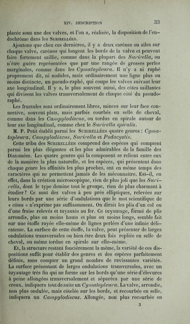 ) XIV. DESCRIPTION 33 placée sous une des valves, et l’on a, réalisée, la disposition de l’en- dochrôme dans les Surirellées. Ajoutons que chez ces dernières, il y a deux carènes ou ailes sur chaque valve, carènes qui longent les bords de la valve et peuvent faire fortement saillie, comme dans la plupart des 8urirella, ou n’être guère représentées que par une rangée de grosses perles marginales, comme dans les Cymatopleura. Il n’y a ni raphé proprement dit, ni nodules, mais ordinairement une ligne plus ou moins distincte, un pseudo-raphé, qui coupe les valves suivant leur axe longitudinal. Il y a, le plus souvent aussi, des côtes saillantes qui divisent les valves transversalement de chaque côté du pseudo- raphé. Les frustules sont ordinairement libres, minces sur leur face con- nective, souvent plats, mais parfois courbés en selle de cheval, comme dans les Campylodiscus, ou tordus en spirale autour de leur axe longitudinal, comme chez le Surirella spiralis. M. P. Petit établit parmi les Surirellées quatre genres : Cyma- topleura, Campylodiscus, Surirella et Podocystis. Cette tribu des Surirellées comprend des espèces qui comptent parmi les plus élégantes et les plus admirables de la famille des Diatomées. Les quatre genres qui la composent se relient entre eux de la manière la plus naturelle, et les espèces, qui présentent dans chaque genre les affinités les plus proches, ont en même temps des caractères qui ne permettent jamais de les méconnaître. Est-il, en effet, dans la création microscopique, rien de plus joli que les Suri- rella, dont le type domine tout le groupe, rien de plus charmant à étudier? Ce sont des valves à peu près elliptiques, relevées sur leurs bords par une série d’ondulations que le mot scientifique de « côtes » n’exprime pas suffisamment. On dirait les plis d’un col ou d’une fraise relevés et tuyautés au fer. Ce tuyautage, formé de plis arrondis, plus ou moins hauts et plus ou moins longs, semble fait sur une étoffe rayée elle-même de lignes perlées d’une infinie déli- catesse. La surface de cette étoffe, la valve, peut présenter de larges ondulations transversales ou bien être deux fois repliée en selle de cheval, ou même tordue en spirale sur elle-même. Et, la structure restant foncièrement la même, la variété de ces dis- positions suffit pour établir des genres et des espèces parfaitement définis, sans compter un grand nombre de ravissantes variétés, La surface présentant de larges ondulations transversales, avec un tuyautage très fin qui ne forme sur les bords qu’une série d’élevures à peine allongées transversalement et séparées par une série de creux, indiquera toutdesuite un Cymatopleura. La valve, arrondie, non plus ondulée, mais côtelée sur les bords, et recourbée en selle, indiquera un Campylodiscus. Allongée, non plus recourbée en 3