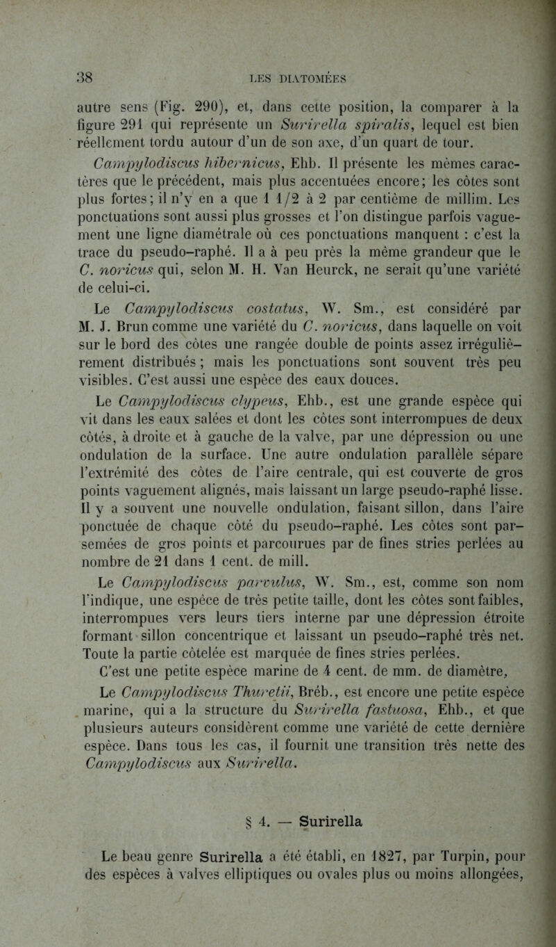 autre sens (Fig. 290), et, dans cette position, la comparer à la figure 291 qui représente un Surirella spiralis, lequel est bien réellement tordu autour d’un de son axe, d’un quart de tour. Campylodiscus hibernions, Ehb. Il présente les mêmes carac- tères que le précédent, mais plus accentuées encore ; les côtes sont plus fortes; il n’y en a que 1 1/2 à 2 par centième de millim. Les ponctuations sont aussi plus grosses et l’on distingue parfois vague- ment une ligne diamétrale où ces ponctuations manquent : c’est la trace du pseudo-raphé. 11 a à peu près la même grandeur que le C. noricus qui, selon M. H. Yan Heurck, ne serait qu’une variété de celui-ci. Le Campylodiscus costatus, W. Sm., est considéré par M. J. Brun comme une variété du C. noricus, dans laquelle on voit sur le bord des côtes une rangée double de points assez irréguliè- rement distribués ; mais les ponctuations sont souvent très peu visibles. C’est aussi une espèce des eaux douces. Le Campylodiscus clypeus, Ehb., est une grande espèce qui vit dans les eaux salées et dont les côtes sont interrompues de deux côtés, à droite et à gauche de la valve, par une dépression ou une ondulation de la surface. Une autre ondulation parallèle sépare l’extrémité des côtes de l’aire centrale, qui est couverte de gros points vaguement alignés, mais laissant un large pseudo-raphé lisse. Il y a souvent une nouvelle ondulation, faisant sillon, dans l’aire ponctuée de chaque côté du pseudo-raphé. Les côtes sont par- semées de gros points et parcourues par de fines stries perlées au nombre de 21 dans 1 cent, de mill. Le Campylodiscus parvulus, W. Sm., est, comme son nom l'indique, une espèce de très petite taille, dont les côtes sont faibles, interrompues vers leurs tiers interne par une dépression étroite formant sillon concentrique et laissant un pseudo-raphé très net. Toute la partie côtelée est marquée de fines stries perlées. C’est une petite espèce marine de 4 cent, de mm. de diamètre. Le Campylodiscus Thuretii, Bréb., est encore une petite espèce marine, qui a la structure du Surirella fastuosa, Ehb., et que plusieurs auteurs considèrent comme une variété de cette dernière espèce. Dans tous les cas, il fournit une transition très nette des Campylodiscus aux Surirella. § 4. — Surirella Le beau genre Surirella a été établi, en 1827, par Turpin, pour des espèces à valves elliptiques ou ovales plus ou moins allongées,