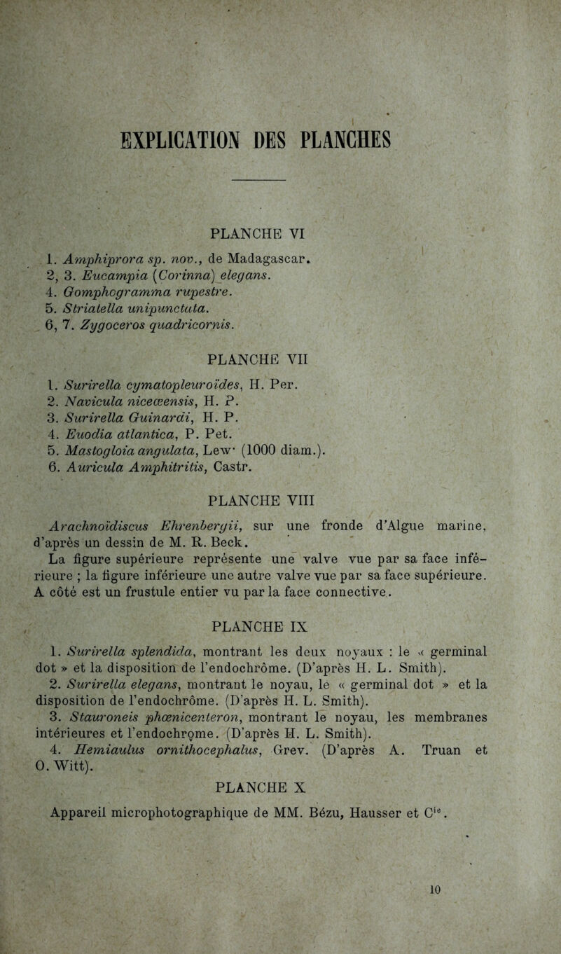 EXPLICATION DES PLANCHES PLANCHE VI 1. Amphiprora sp. nov., de Madagascar. 2, 3. Eucampia (Corinna) elegans. 4. Gomphogramma rupestre. 5. Striatella unipunctata. 6. 7. Zygoceros quadricornis. PLANCHE YII 1. Surirella cymatopleuroïdes, H. Per. 2. Navicula niceœensis, H. P. 3. Surirella Guinardi, H. P. 4. Euodia atlantica,, P. Pet. 5. Mastogloia angulata, Lew (1000 diam.). 6. Auricula Amphitritis, Castr. PLANCHE VIII Arachnoïdiscus Ehrenbergii, sur une fronde d’Algue marine, d’après un dessin de M. R. Beck. La figure supérieure représente une valve vue par sa face infé- rieure ; la figure inférieure une autre valve vue par sa face supérieure. A côté est un frustule entier vu parla face connective. PLANCHE IX 1. Surirella splendida, montrant les deux noyaux : le « germinal dot » et la disposition de l’endochrôme. (D’après H. L. Smith). 2. Surirella elegans, montrant le noyau, le « germinal dot » et la disposition de l’endochrôme. (D’après H. L. Smith). 3. Stauroneis phœnicenteron, montrant le noyau, les membranes intérieures et l’endochrome. (D’après H. L. Smith). 4. Hemiaulus ornithocephalus, Grev. (D’après A. Truan et O.Witt). PLANCHE X Appareil microphotographique de MM. Bézu, Hausser et Cie. 10