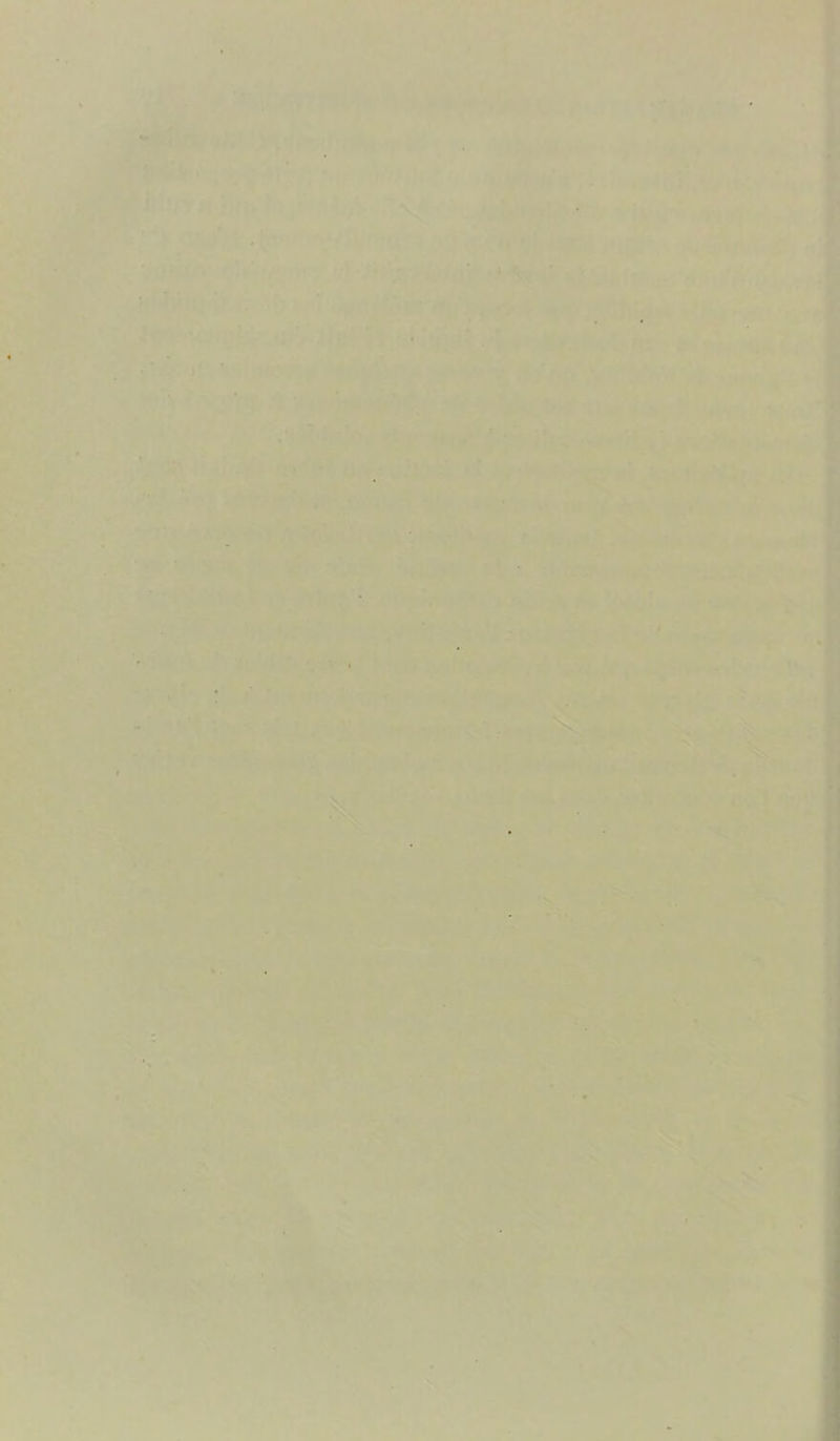 t t ■ P'» .'*% .. r* .. • “ë , - t % û N i J.