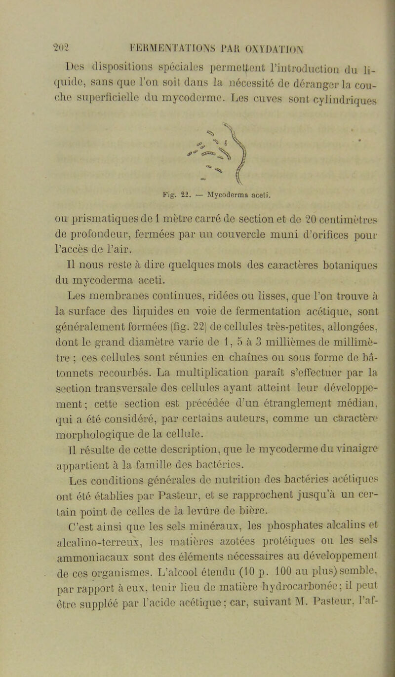 2II-2 rKUMF.NTATlON'S l'AK ()XVl)ATIo\ Dos (lisposilions spécialos perineL/,oiit riiilroduclioii du li- (jiiidc, sans que l’on soit dans la nécossito de déranger la cou- (die sni)erlidelle du mycodormo. l.es cuves sont cylindriques Fig. 22. — Mycoderma aceli. OU prismatiques do 1 mètre carré de section et de 20 centimètres de profondeur, fermées par un couvercle muni d’orifices jjoiir l’accès de l’air. Il nous reste à dire quelques mots des caractères botaniques du mycoderma aceti. Les membranes continues, ridées ou lisses, que l’on trouve à la surface des liquides en voie de fermentation acétique, sont généralement formées (fig. 22) de cellules très-petites, allongées, dont le grand diamètre varie de 1, 5 à 3 millièmes de millimè- tre ; ces cellules sont réunies en chaînes ou sous forme de bâ- tonnets recourbés. La multiplication paraît s’effectuer par la section transversale des cellules ayant atteint leur développe- ment; cette section est précédée d’un étranglement médian, qui a été considéré, par certains auteurs, comme un caractère' morphologique de la cellule. Il résulte de cette description, que le mycoderme duA'inaigre appartient à la famille des bactéries. Les conditions générales de nutrition des bactéries acétiques ont été établies par Pasteur, et se rapprochent jusqu’à un cer- tain point de celles de la leviire de bière. C’est ainsi que les sels minéraux, les phosphates alcalins et alcalino-terreux, les matières azotées protéiques ou les sels ammoniacaux sont des éléments néces.saires au développement de CCS organismes. L’alcool étendu (10 p. 100 au plus) semble, par rapport à eux, tenir lieu de matière hydrocarbonéc; il peut être suppléé par l’acide acétique; car, suivant M. Pasteur, l’af-