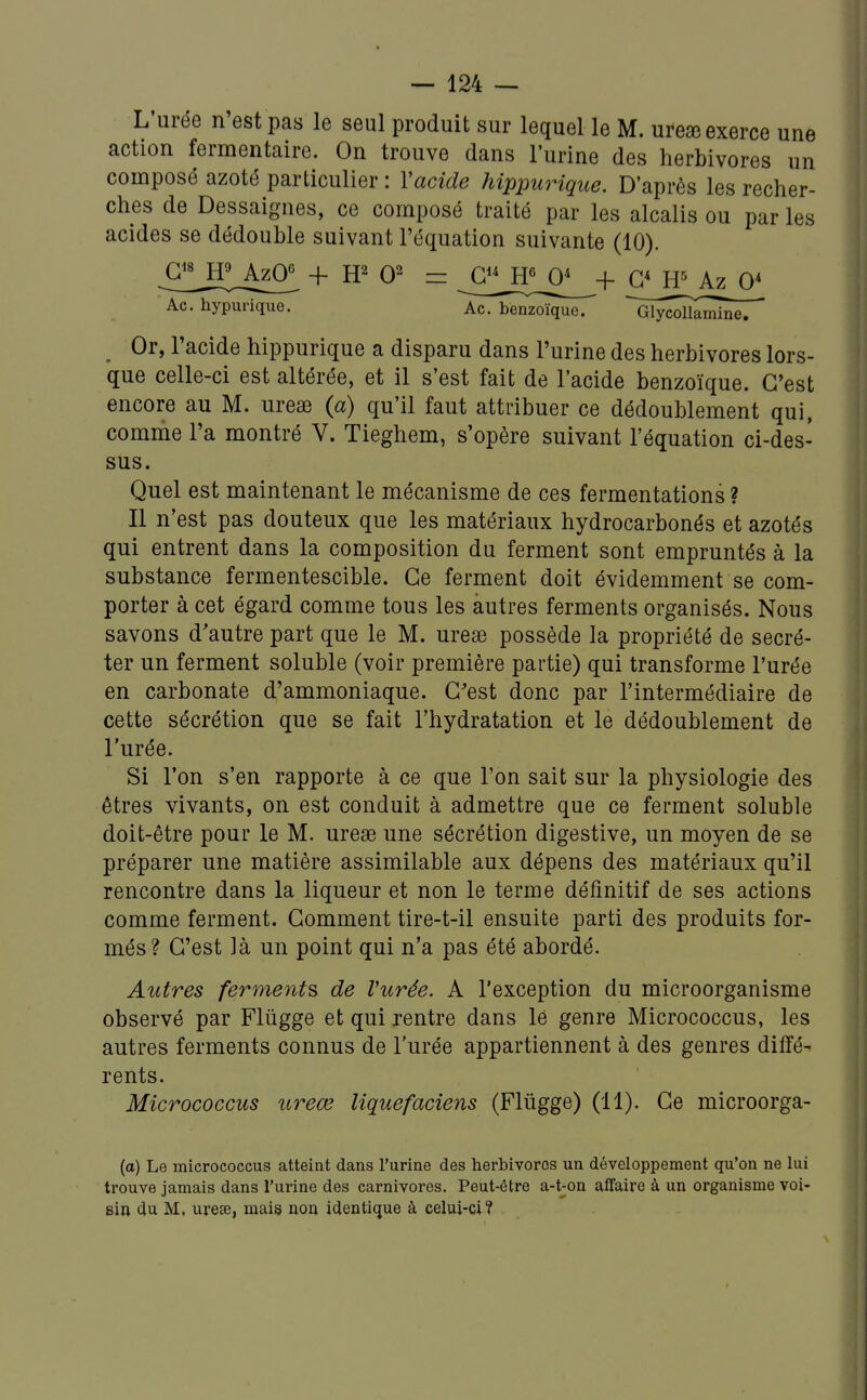 L'urée n'est pas le seul produit sur lequel le M. ureac exerce une action fermentaire. On trouve dans l'urine des herbivores un composé azoté particulier : Vacide hippurique. D'après les recher- ches de Dessaignes, ce composé traité par les alcalis ou par les acides se dédouble suivant l'équation suivante (10). ^G^^JPAzO^ + 0^ = ^^G;JH^^0^+ g* H= Az 0* Ac. hypurique. Ac. benzoïque. ^GÏ^SklIîh^^ ^ Or, l'acide hippurique a disparu dans l'urine des herbivores lors- que celle-ci est altérée, et il s'est fait de l'acide benzoïque. C'est encore au M. ureae (a) qu'il faut attribuer ce dédoublement qui, comme l'a montré V. Tieghem, s'opère suivant l'équation ci-des- sus. Quel est maintenant le mécanisme de ces fermentations ? Il n'est pas douteux que les matériaux hydrocarbonés et azotés qui entrent dans la composition du ferment sont empruntés à la substance fermentescible. Ce ferment doit évidemment se com- porter à cet égard comme tous les autres ferments organisés. Nous savons d'autre part que le M. ureae possède la propriété de sécré- ter un ferment soluble (voir première partie) qui transforme l'urée en carbonate d'ammoniaque. G^est donc par l'intermédiaire de cette sécrétion que se fait l'hydratation et le dédoublement de l'urée. Si l'on s'en rapporte à ce que l'on sait sur la physiologie des êtres vivants, on est conduit à admettre que ce ferment soluble doit-être pour le M. ureae une sécrétion digestive, un moyen de se préparer une matière assimilable aux dépens des matériaux qu'il rencontre dans la liqueur et non le terme définitif de ses actions comme ferment. Gomment tire-t-il ensuite parti des produits for- més? C'est là un point qui n'a pas été abordé. Attires ferments de Vurée. A l'exception du microorganisme observé par Flûgge et qui rentre dans lé genre Micrococcus, les autres ferments connus de l'urée appartiennent à des genres diffé- rents. Micrococcus ureœ Uquefaciens (Flûgge) (11). Ce microorga- (a) Le micrococcus atteint dans l'urine des herbivores un développement qu'on ne lui trouve jamais dans l'urine des carnivores. Peut-être a-t-on affaire à un organisme voi- sin du M, ureœ, mais nou identique à celui-ci?