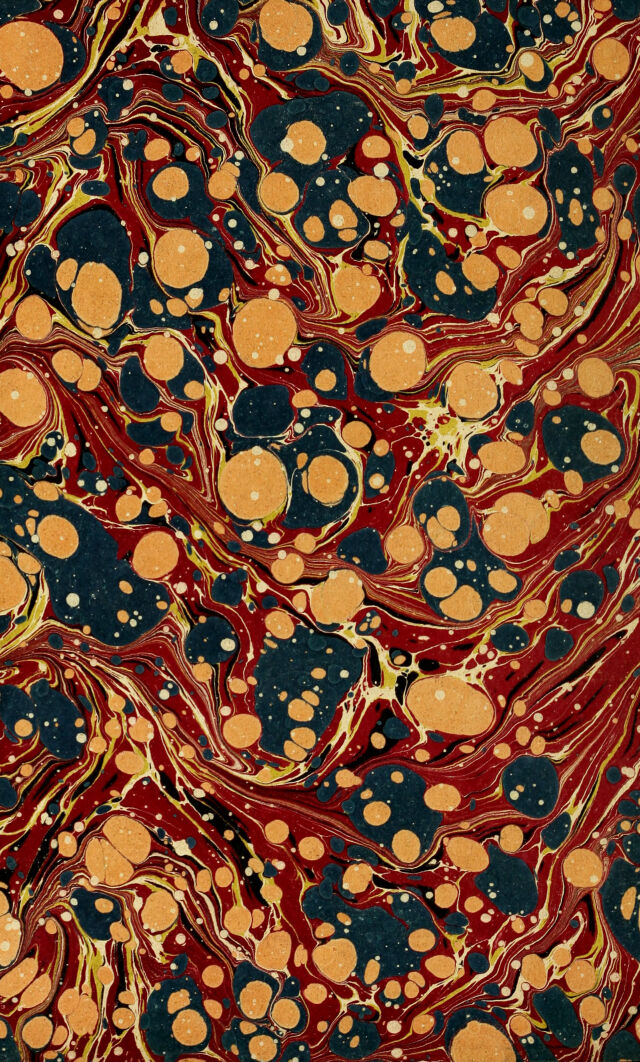 No text description is available for this image