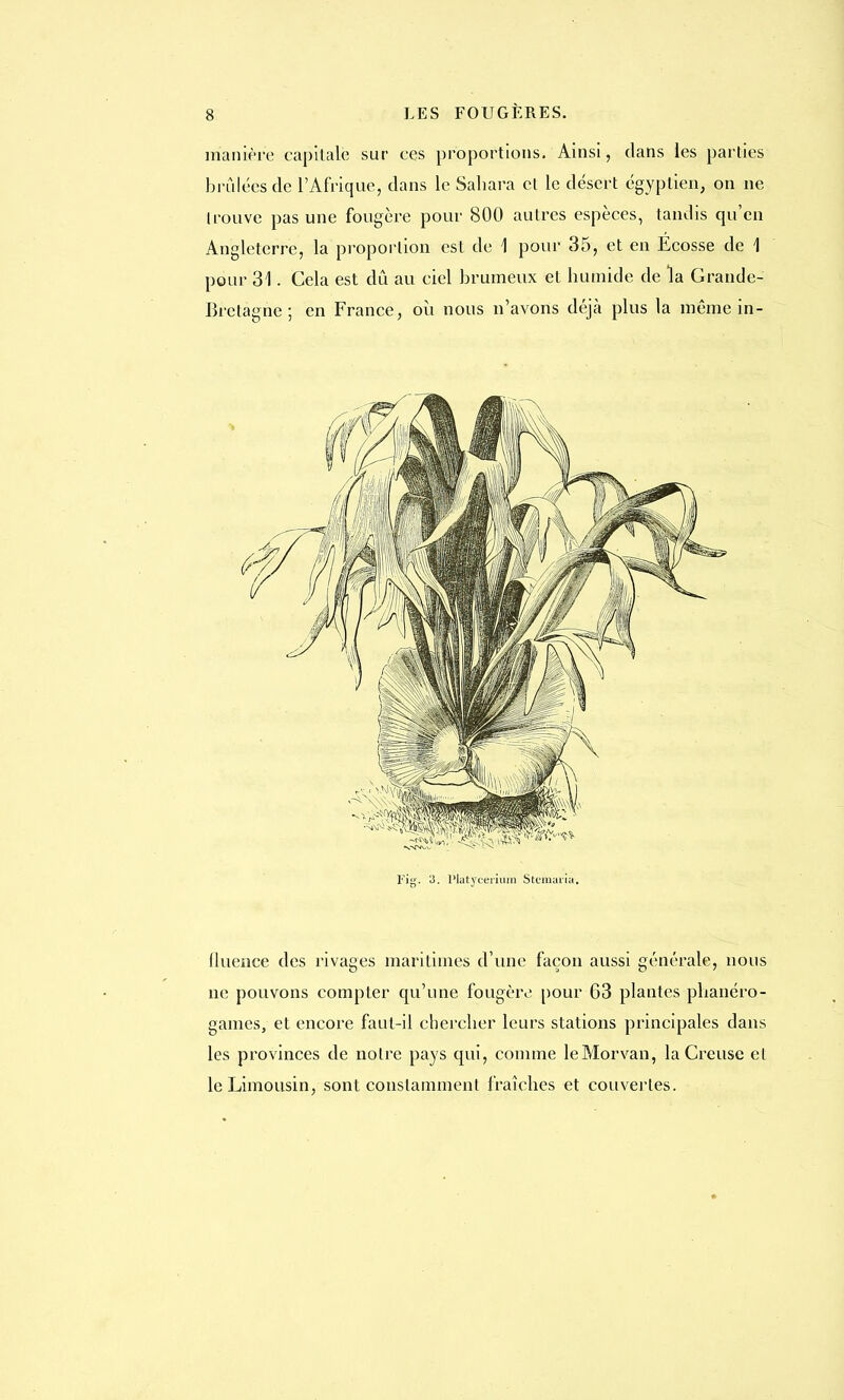 manière capitale sur ces proportions. Ainsi, dans les parties brûlées de l'Afrique, dans le Sahara cl le désert égyptien, on ne trouve pas une fougère pour 800 autres espèces, tandis qu'en Angleterre, la proportion est de \ pour 35, et en Ecosse de 1 pour 31. Cela est dû au ciel brumeux et humide de la Grande- Bretagne ; en France, où nous n'avons déjà plus la même in- Fig. 3. Watyceriuin Stemara. lluence des rivages maritimes d'une façon aussi générale, nous ne pouvons compter qu'une fougère pour 63 plantes phanéro- games, et encore faut-il chercher leurs stations principales dans les provinces de notre pays qui, comme leMorvan, la Creuse et le Limousin, sont constamment fraîches et couvertes.