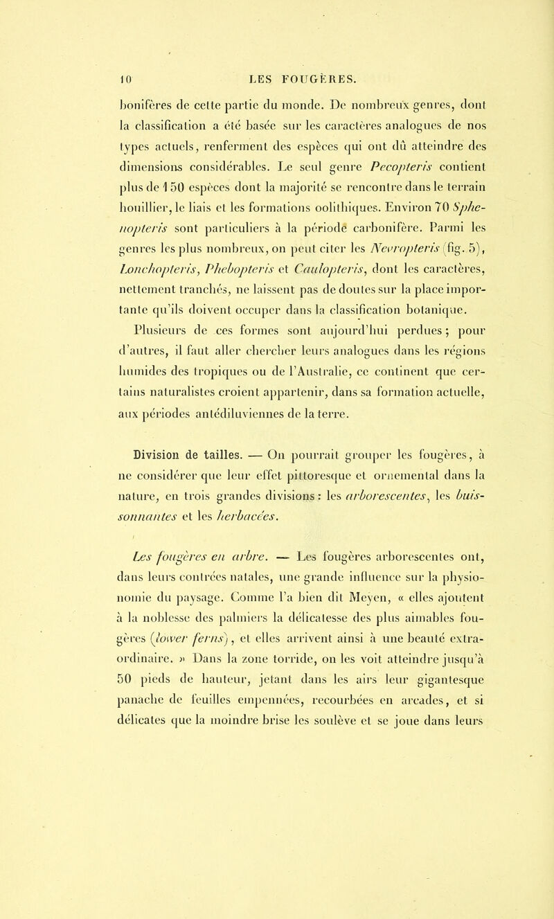 bônifères de celte partie du monde. De nombreux genres, dont la classification a été basée sur les caractères analogues de nos types actuels, renferment des espèces qui ont dû atteindre des dimensions considérables. Le seul genre Pecopleris contient plus de 1 50 espèces dont la majorité se rencontre dans le terrain bouillier, le liais et les formations oolitbiques. Environ 70 Sp/ic- nopteris sont particuliers à la période carbonifère. Parmi les genres les plus nombreux, on peut citer les Nevrapteris (fig. 5), Lonchopteris, Phebopteris et Caulopteris, dont les caractères, nettement tranebés, ne laissent pas de doutes sur la place impor- tante qu'ils doivent occuper clans la classification botanique. Plusieurs de ces formes sont aujourd'hui perdues; pour d'autres, il faut aller chercher leurs analogues dans les régions humides des tropiques ou de l'Australie, ce continent que cer- tains naturalistes croient appartenir, dans sa formation actuelle, aux périodes antédiluviennes de la terre. Division de tailles. — On pourrait grouper les fougères, à ne considérer que leur effet pittoresque et ornemental dans la nature, en trois grandes divisions : les arborescentes, les buis- sonnantes et les herbacées. i Les fougères en arbre. — Les fougères arborescentes ont, dans leurs contrées natales, une grande influence sur la physio- nomie du paysage. Comme l'a bien dit Meyen, « elles ajoutent à la noblesse des palmiers la délicatesse des plus aimables fou- gères (lower ferns), et elles arrivent ainsi à une beauté extra- ordinaire. )> Dans la zone torride, on les voit atteindre jusqu'à 50 pieds de hauteur, jetant dans les airs leur gigantesque panache de feuilles empennées, recourbées en arcades, et si délicates que la moindre brise les soulève et se joue dans leurs