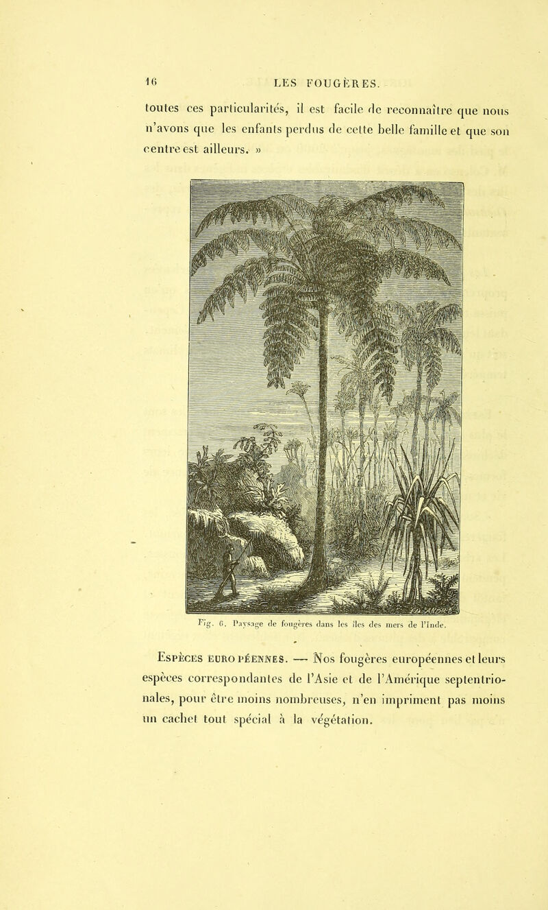 toutes ces particularités, il est facile rie reconnaître que nous n'avons que les enfants perdus de cette belle famille et que son centre est ailleurs. » Fig. G. Paysage de fougères clans les îles des mers de l'Inde, Espèces européennes. — Nos fougères européennes et leurs espèces correspondantes de l'Asie et de l'Amérique septentrio- nales, pour être moins nombreuses, n'en impriment pas moins un cachet tout spécial à la végétation.