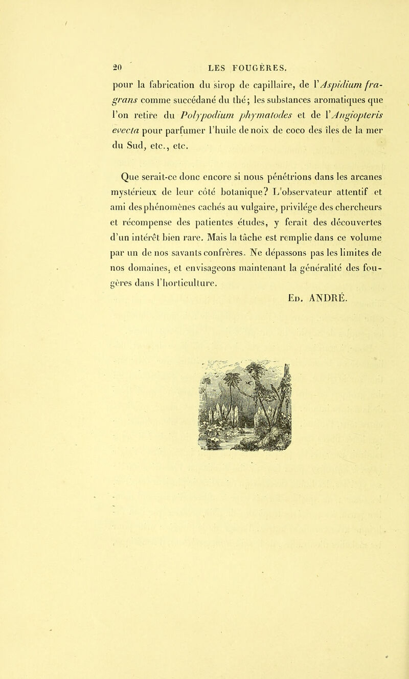 pour la fabrication du sirop de capillaire, de V Aspidium fra- grans comme succédané du thé ; les substances aromatiques que l'on retire du Poly podium phymatodes et de X Aiigioplevis evecta pour parfumer l'huile de noix de coco des îles de la mer du Sud, etc., etc. Que serait-ce donc encore si nous pénétrions dans les arcanes mystérieux de leur côté botanique? L'observateur attentif et ami des phénomènes cachés au vulgaire, privilège des chercheurs et récompense des patientes études, y ferait des découvertes d'un intérêt bien rare. Mais la tâche est remplie dans ce volume par un de nos savants confrères. Ne dépassons pas les limites de nos domaines, et envisageons maintenant la généralité des fou- gères dans l'horticulture. Ed. ANDRÉ.