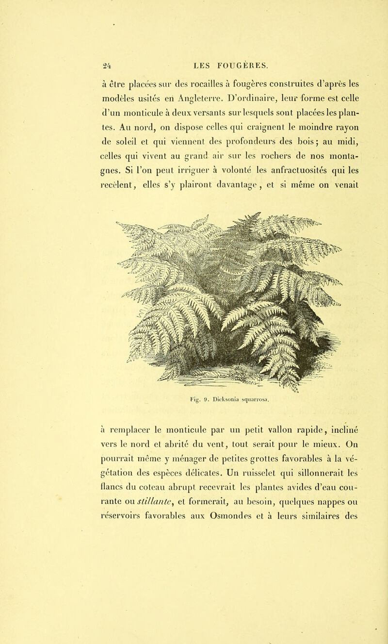 à être placées sur des rocailles à fougères construites d'après les modèles usités en Angleterre. D'ordinaire, leur forme est celle d'un monticule à deux versants sur lesquels sont placées les plan- tes. Au nord, on dispose celles qui craignent le moindre rayon de soleil et qui viennent des profondeurs des bois; au midi, celles qui vivent au grand air sur les rochers de nos monta- gnes. Si l'on peut irriguer à volonté les anfractuosités qui les recèlent, elles s'y plairont davantage, et si même on venait Fig. 9. Dicksonia squarrosa. à remplacer le monticule par un petit vallon rapide, incliné vers le nord et abrité du vent, tout serait pour le mieux. On pourrait même y ménager de petites grottes favorables à la vé- gétation des espèces délicates. Un ruisselet qui sillonnerait les flancs du coteau abrupt recevrait les plantes avides d'eau cou- rante ou stillante, et formerait, au besoin, quelques nappes ou réservoirs favorables aux Osmondes et à leurs similaires des