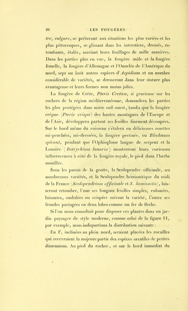 Ire, vulgafe, se prêteront aux situations les plus variées et les plus pittoresques, se glissant dans les interstices, dressés, re- tombants, étalés, mariant leurs feuillages de mille manières. Dans les parties plus en vue, la fougère mâle et la fougère femelle, la fougère d'Allemagne et l'Onoclée de l'Amérique du nord, sept ou huit autres espèces <$? Aspidium et un nombre considérable de variétés, se dresseront dans leur stature plus avantageuse et leurs formes non moins jolies. La fougère de Crète, Pteris Cretica, si gracieuse sur les rochers de la région méditerranéenne, demandera les parties les plus protégées dans notre sud-ouest, tandis que la fougère crépue [Pteris crispa) des hautes montagnes de l'Europe et de l'Asie, développera partout ses feuilles finement découpées. Sur le bord même du ruisseau s'étalera en délicieuses rosettes mi-penchées, mi-dressées, la fougère pectinée, ou Blëchnum spicant, pendant que l'Ophioglosse langue de serpent et la Lunaire ( Botrychium lunaria ) montreront leurs curieuses inflorescences à côté de la fougère royale, le pied dans l'herbe mouillée. Sous les parois de la grotte, la Scolopendre officinale, ses nombreuses variétés, et la Scolopendre hémionitique du midi de la France {Scolopendrium officinale et S. hemionitis), lais- seront retomber, l'une ses longues feuilles simples, rubanées, luisantes, ondulées ou crispées suivant la variété, l'autre ses frondes partagées en deux lobes comme un fer de flèche. Si l'on nous consultait pour disposer ces plantes dans un jar- din paysager de style moderne, comme celui de la figure \ \, par exemple, nous indiquerions la distribution suivante : En F, inclinées au plein nord, seraient placées les rocailles qui recevraient la majeure partie des espèces saxatiles de petites dimensions. Au pied du rocher, et sur le bord immédiat du