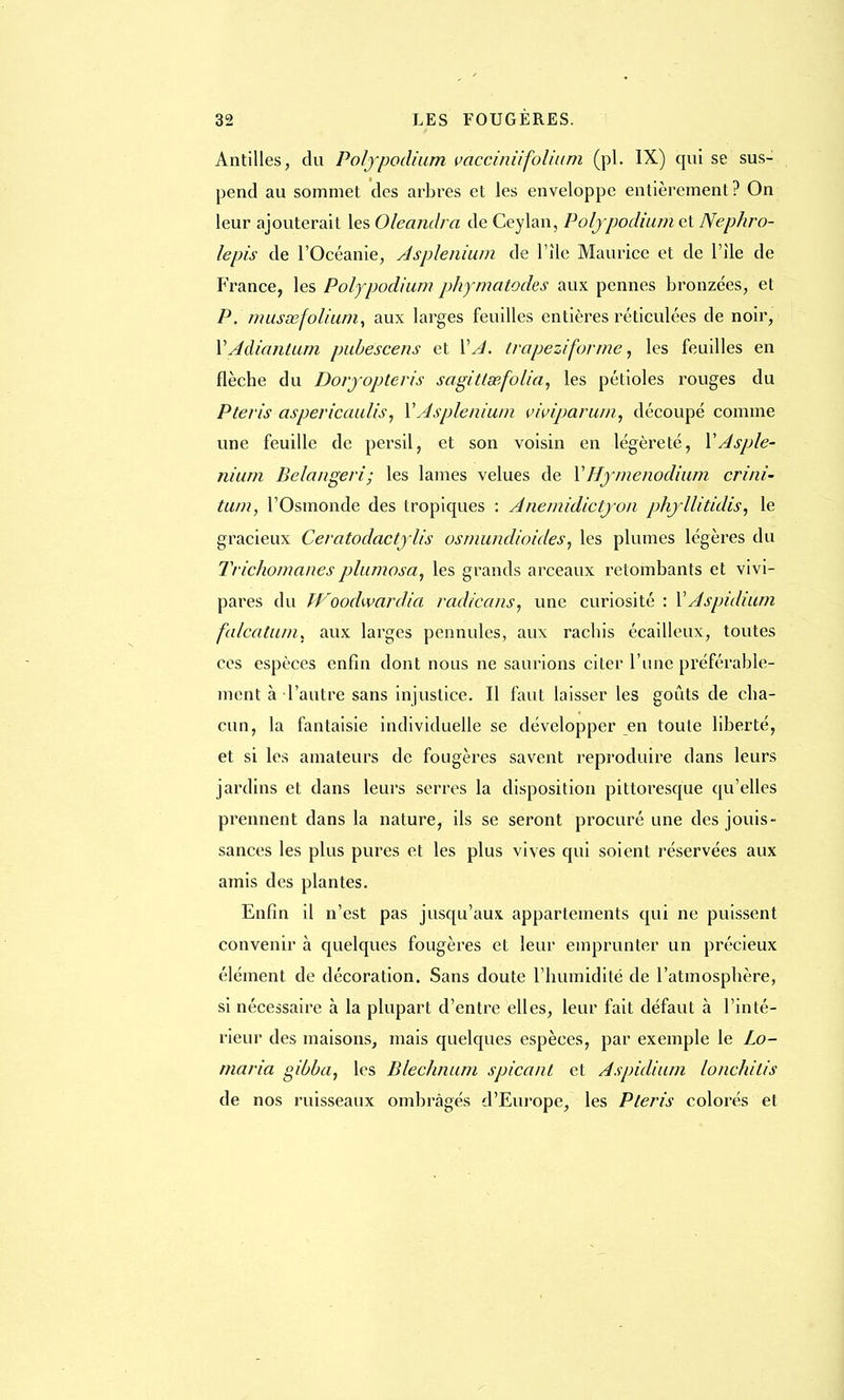 Antilles, du Polfpodium vacciniifolium (pl. IX) qui se sus- pend au sommet des arbres et les enveloppe entièrement? On leur ajouterait les Oleandra de Ceylan, Polf podium et Nephro- lepis de l'Océanie, Asplenium de l'île Maurice et de l'île de France, les Polypodium phymatodes aux pennes bronzées, et P. musœfolium, aux larges feuilles entières réticulées de noir, MAdiantum pubescens et MA. trapeziforme, les feuilles en flèche du Dorj opte ris sagittsefolia, les pétioles rouges du Pteris aspericaulis, M Asplenium viviparum, découpé comme une feuille de persil, et son voisin en légèreté, M Asple- nium Bélanger i; les lames velues de MHymenodium crini- tum, l'Osmonde des tropiques : Anemidictjon phjllitidis, le gracieux Ceratodactylis osmundioides, les plumes légères du Trichomanes plumosa, les grands arceaux retombants et vivi- pares du JFoodwardia radicans, une curiosité : Y Aspidium falcatum. aux larges pennules, aux racbis écailleux, toutes ces espèces enfin dont nous ne saurions citer l'une préférable- ment à l'autre sans injustice. Il faut laisser les goûts de cha- cun, la fantaisie individuelle se développer en toute liberté, et si les amateurs de fougères savent reproduire dans leurs jardins et dans leurs serres la disposition pittoresque qu'elles prennent dans la nature, ils se seront procuré une des jouis- sances les plus pures et les plus vives qui soient réservées aux amis des plantes. Enfin il n'est pas jusqu'aux appartements qui ne puissent convenir à quelques fougères et leur emprunter un précieux élément de décoration. Sans doute l'humidité de l'atmosphère, si nécessaire à la plupart d'entre elles, leur fait défaut à l'inté- rieur des maisons, mais quelques espèces, par exemple le Lo- maria gibba, les Blechnum spicant et Aspidium lonchitis de nos ruisseaux ombragés d'Europe, les Pteris colorés et