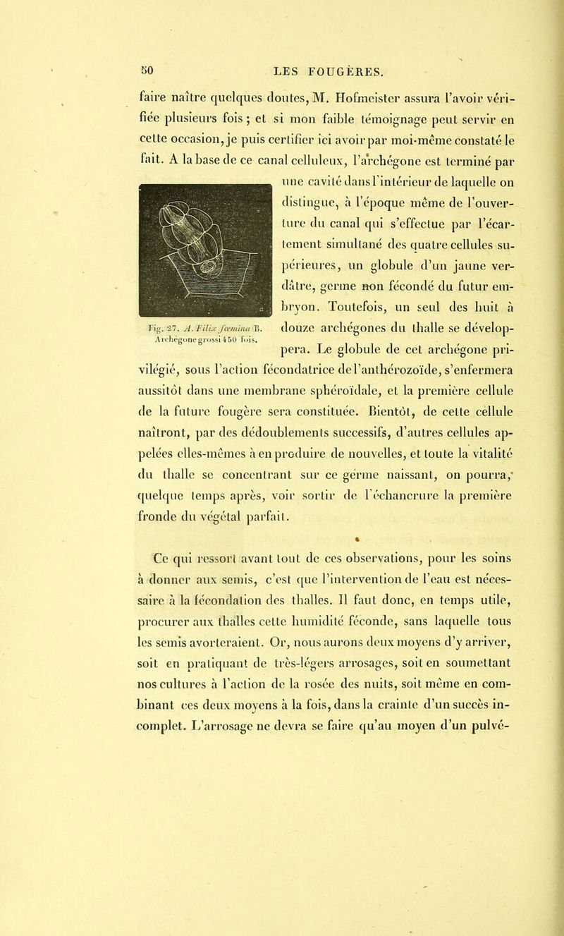faire naître quelques doutes, M. Hofmeister assura l'avoir véri- fiée plusieurs fois ; et si mon faible témoignage peut servir en cette occasionne puis certifier ici avoir par moi-même constaté le fait. A la base de ce canal celluleux, l'archégone est terminé par une cavité dans l'intérieur de laquelle on distingue, à l'époque même de l'ouver- ture du canal qui s'effectue par l'écar- tcment simullané des quatre cellules su- périeures, un globule d'un jaune ver- dâtre, germe non fécondé du futur em- bryon. Toutefois, un seul des huit à Fig. a?, a. FiUxfcemiiw b. douze archégones du thalle se dévelop- Arcliégone grossi 4 50 fois. pera. Le globule de cet archégone pri- vilégié, sous l'action fécondatrice de l'anthérozoïde, s'enfermera aussitôt dans une membrane sphéroïdale, et la première cellule de la future fougère sera constituée. Bientôt, de cette cellule naîtront, par des dédoublements successifs, d'autres cellules ap- pelées elles-mêmes h en produire de nouvelles, et toute la vitalité du thalle se concentrant sur ce gérme naissant, on pourra,' quelque temps après, voir sortir de l'échancrure la première fronde du végétal parfait. Ce qui ressort avant tout de ces observations, pour les soins à donner aux semis, c'est que l'intervention de l'eau est néces- saire à la fécondation des thalles. Il faut donc, en temps utile, procurer aux thalles cette humidité féconde, sans laquelle tous les semis avorteraient. Or, nous aurons deux moyens d'y arriver, soit en pratiquant de très-légers arrosages, soit en soumettant nos cultures à l'action de la rosée des nuits, soit même en com- binant ces deux moyens à la fois, dans la crainte d'un succès in- complet. L'arrosage ne devra se faire qu'au moyen d'un pulvé-