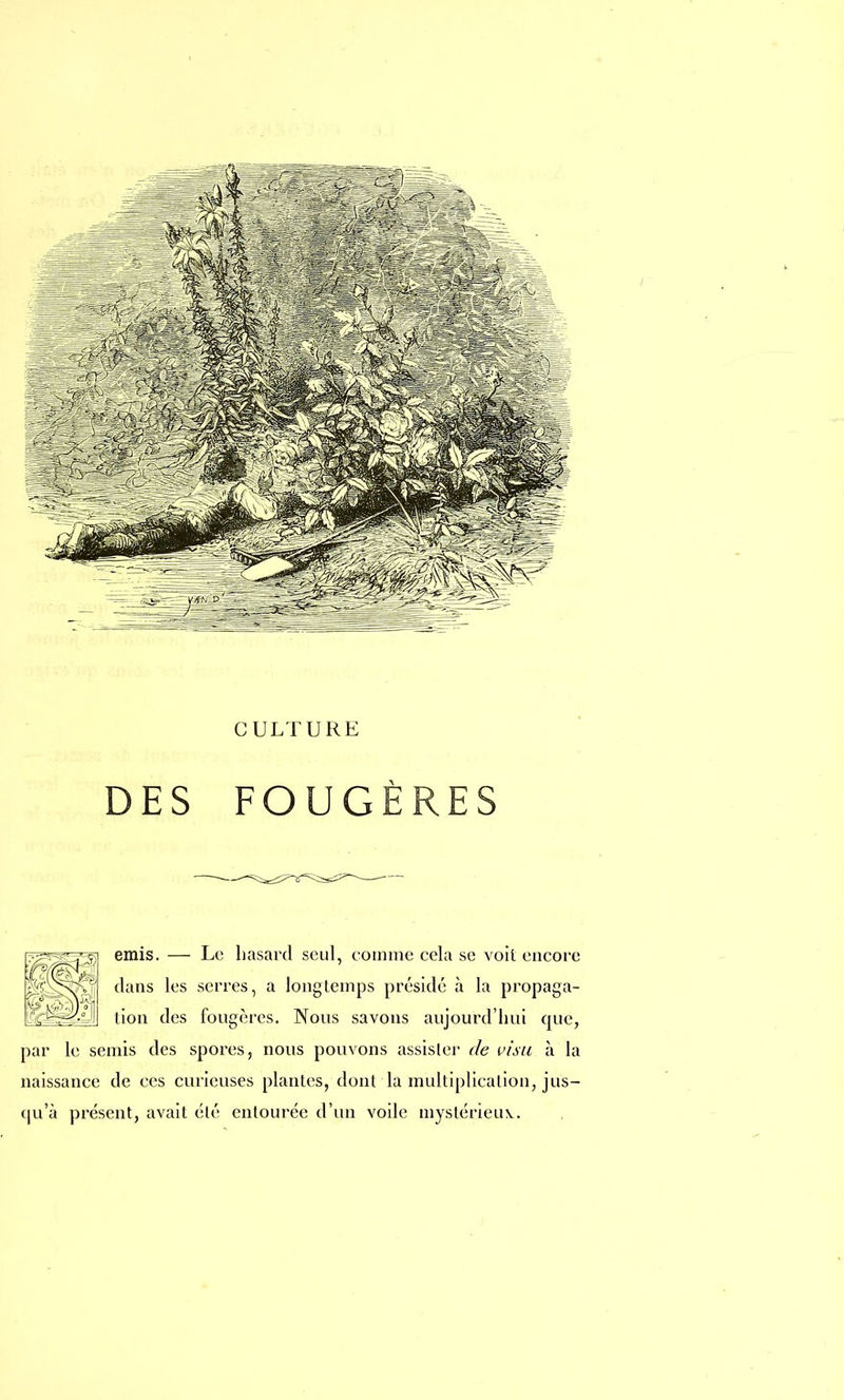DES FOUGÈRES émis. — Le hasard seul, comme cela se voit encore dans les serres, a longtemps présidé à la propaga- tion des fougères. Nous savons aujourd'hui que, par le semis des spores, nous pouvons assister de visu à la naissance de ces curieuses plantes, dont la multiplication, jus- qu'à présent, avait été entourée d'un voile mystérieux.