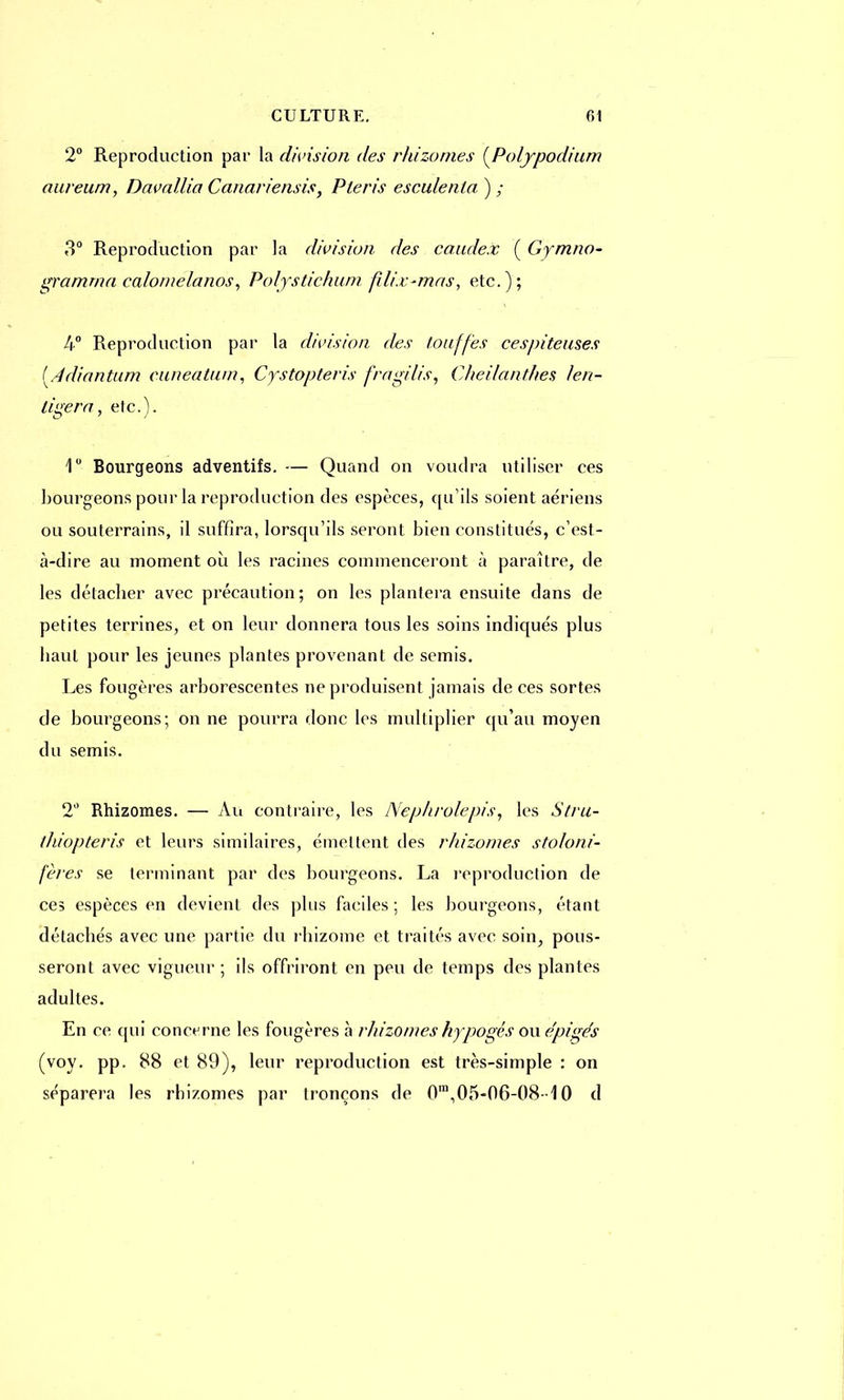 2° Reproduction par la division des rhizomes [Polypodium aureum, Davallia Canariensis, Pleris esculenla) ; 3° Reproduction par la division des caudex ( Gymno- Iframrna ca/o/nelanos, Polystiehum fîtix-mas, etc.); 4° Reproduction par la division des touffes cespitemes [.ddiantum cuneatum, Cystopteris fragilis, Cheilanthes len- ligera, etc.). 1° Bourgeons adventifs. — Quand on voudra utiliser ces bourgeons pour la reproduction des espèces, qu'ils soient aériens ou souterrains, il suffira, lorsqu'ils seront bien constitués, c'est- à-dire au moment où les racines commenceront à paraître, de les détaclier avec précaution; on les plantera ensuite dans de petites terrines, et on leur donnera tous les soins indiqués plus baut pour les jeunes plantes provenant de semis. Les fougères arborescentes ne produisent jamais de ces sortes de bourgeons; on ne pourra donc les multiplier qu'au moyen du semis. 2° Rhizomes. — Au contraire, les Nephrolepis, les Stru- thiopteris et leurs similaires, émettent des rhizomes stoloni- fères se terminant par des bourgeons. La reproduction de ces espèces en devient des plus faciles ; les bourgeons, étant délacbés avec une partie du rhizome et traités avec soin, pous- seront avec vigueur ; ils offriront en peu de temps des plantes adultes. En ce qui concerne les fougères à rhizomes hypogés ou e'pigés (voy. pp. 88 et 89), leur reproduction est très-simple : on séparera les rhizomes par tronçons de 0m105-06-08-10 d