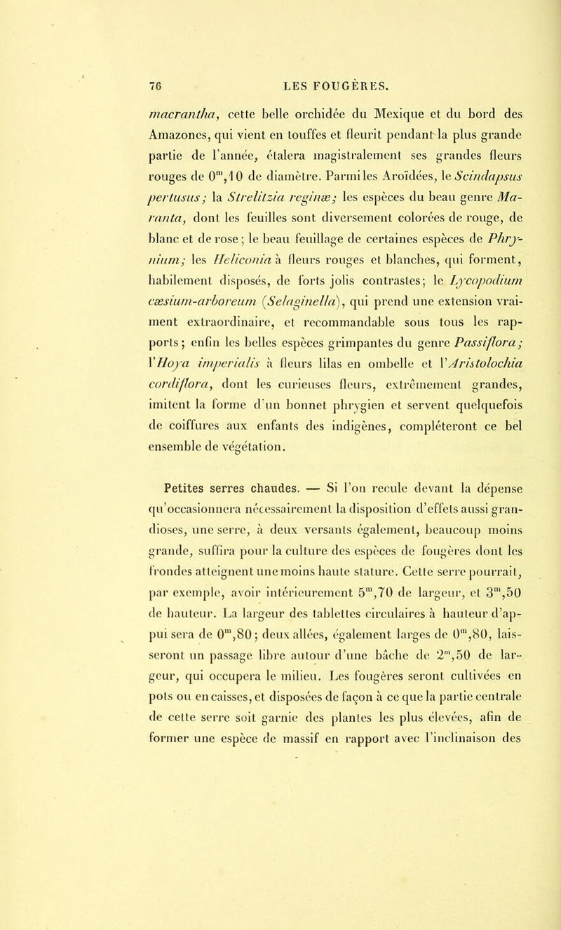 maerahtha, cette belle orchidée du Mexique et du bord des Amazones, qui vient en touffes et fleurit pendant la plus grande partie de l'année, étalera magistralement ses grandes fleurs rouges de 0m,10 de diamètre. Parmi les Aroïdées, le Scindapsus pertusus; la Strelitzia régi use; les espèces du beau genre Ma- ranta, dont les feuilles sont diversement colorées de rouge, de blanc et de rose ; le beau feuillage de certaines espèces de Phry- nium; les Heliconiah. fleurs rouges et blanches, qui forment, habilement disposés, de forts jolis contrastes; le Ljcopodiurn csesium-arboreum (Seiaginel/a), qui prend une extension vrai- ment extraordinaire, et recommandable sous tous les rap- ports; enfin les belles espèces grimpantes du genre Passiflord; XHoya imperialis à fleurs lilas en ombelle et VAristolochia cordiflora, dont les curieuses fleurs, extrêmement grandes, imitent la forme d'un bonnet phrygien et servent quelquefois de coiffures aux enfants des indigènes, compléteront ce bel ensemble de végétation. Petites serres chaudes. — Si l'on recule devant la dépense qu'occasionnera nécessairement la disposition d'effets aussi gran- dioses, une serre, à deux versants également, beaucoup moins grande, suffira pour la culture des espèces de fougères dont les frondes atteignent une moins haute stature. Cette serre pourrait, par exemple, avoir intérieurement 5™,70 de largeur, et 3m,50 de hauteur. La largeur des tablettes circulaires à hauteur d'ap- pui sera de 0m,80; deux allées, également larges de 0m,80, lais- seront un passage libre autour d'une bâche de 2n,,50 de lar- geur, qui occupera le milieu. Les fougères seront cultivées en pots ou encaisses, et disposées de façon à ce que la partie centrale de cette serre soit garnie des plantes les plus élevées, afin de former une espèce de massif en rapport avec l'inclinaison des