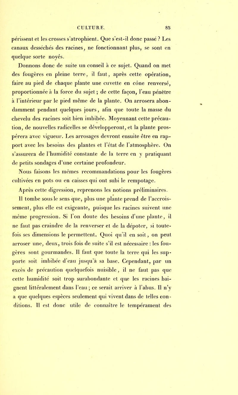 périssent et les crosses s'atrophient. Que s'est-il donc passé ? Les canaux desséchés des racines, ne fonctionnant plus, se sont en quelque sorte noyés. Donnons donc de suite un conseil à ce sujet. Quand on met des fougères en pleine terre, il faut, après cette opération, faire au pied de chaque plante une cuvette en cône renversé, proportionnée à la force du sujet ; de cette façon, l'eau pénètre à l'intérieur par le pied même de la plante. On arrosera abon- damment pendant quelques jours, afin que toute la masse du chevelu des racines soit bien imbibée. Moyennant cette précau- tion, de nouvelles radicelles se développeront, et la plante pros- pérera avec vigueur. Les arrosages devront ensuite être en rap- port avec les besoins des plantes et l'état de l'atmosphère. On s'assurera de l'humidité constante de la terre en y pratiquant de petits sondages d'une certaine profondeur. Nous faisons les mêmes recommandations pour les fougères cultivées en pots ou en caisses qui ont subi le rempotage. Après cette digression, reprenons les notions préliminaires. Il tombe sous le sens que, plus une plante prend de l'accrois- sement, plus elle est exigeante, puisque les racines suivent une même progression. Si l'on doute des besoins d'une plante, il ne faut pas craindre de la renverser et de la dépoter, si toute- fois ses dimensions le permettent. Quoi qu'il en soit, on peut arroser une, deux, trois fois de suite s'il est nécessaire : les fou- gères sont gourmandes. Il faut que toute la terre qui les sup- porte soit imbibée d'eau jusqu'à sa base. Cependant, par un excès de précaution quelquefois nuisible, il ne faut pas que cette humidité soit trop surabondante et que les racines bai- gnent littéralement dans l'eau; ce serait arriver à l'abus. Il n'y a que quelques espèces seulement qui vivent dans de telles con- ditions. Il est donc utile de connaître le tempérament des