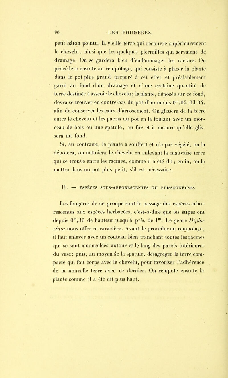 petit bâton pointu, la vieille terre qui recouvre supérieurement le chevelu, ainsi que les quelques pierrailles qui servaient de drainage. On se gardera bien d'endommager les racines. On procédera ensuite au rempotage, qui consiste à placer la plante dans le pot plus grand préparé à cet effet et préalablement garni au fond d'un drainage et d'une certaine quantité de terre destinée à asseoir le chevelu ; la plan te, déposée sur ce fond, devra se trouver en contre-bas du pot d'au moins 0m,02-03-04, afin de conserver les eaux d'arrosement. On glissera de la terre entre le chevelu et les parois du pot en la foulant avec un mor- ceau de bois ou une spatule, au fur et à mesure qu'elle glis- sera au fond. Si, au contraire, la plante a souffert et n'a pas végété, on la dépotera, on nettoiera le chevelu en enlevant la mauvaise terre qui se trouve entre les racines, comme il a été dit; enfin, on la mettra dans un pot plus petit, s'il est nécessaire. IL — ESPÈCES SOUS-ARBORESCENTES OU BUISSONNEUSES. Les fougères de ce groupe sont le passage des espèces arbo- rescentes aux espèces herbacées, c'est-à-dire que les stipes ont depuis 0m,30 de hauteur jusqu'à près de 1m. Le genre Dipla- zium nous offre ce caractère. Avant de procéder au rempotage, il faut enlever avec un couteau bien tranchant toutes les racines qui se sont amoncelées autour et le long des parois intérieures du vase; puis, au moyen de la spatule, désagréger la terre com- pacte qui fait corps avec le chevelu, pour favoriser l'adhérence de la nouvelle terre avec ce dernier. On rempote ensuite la plante comme il a été dit plus haut.