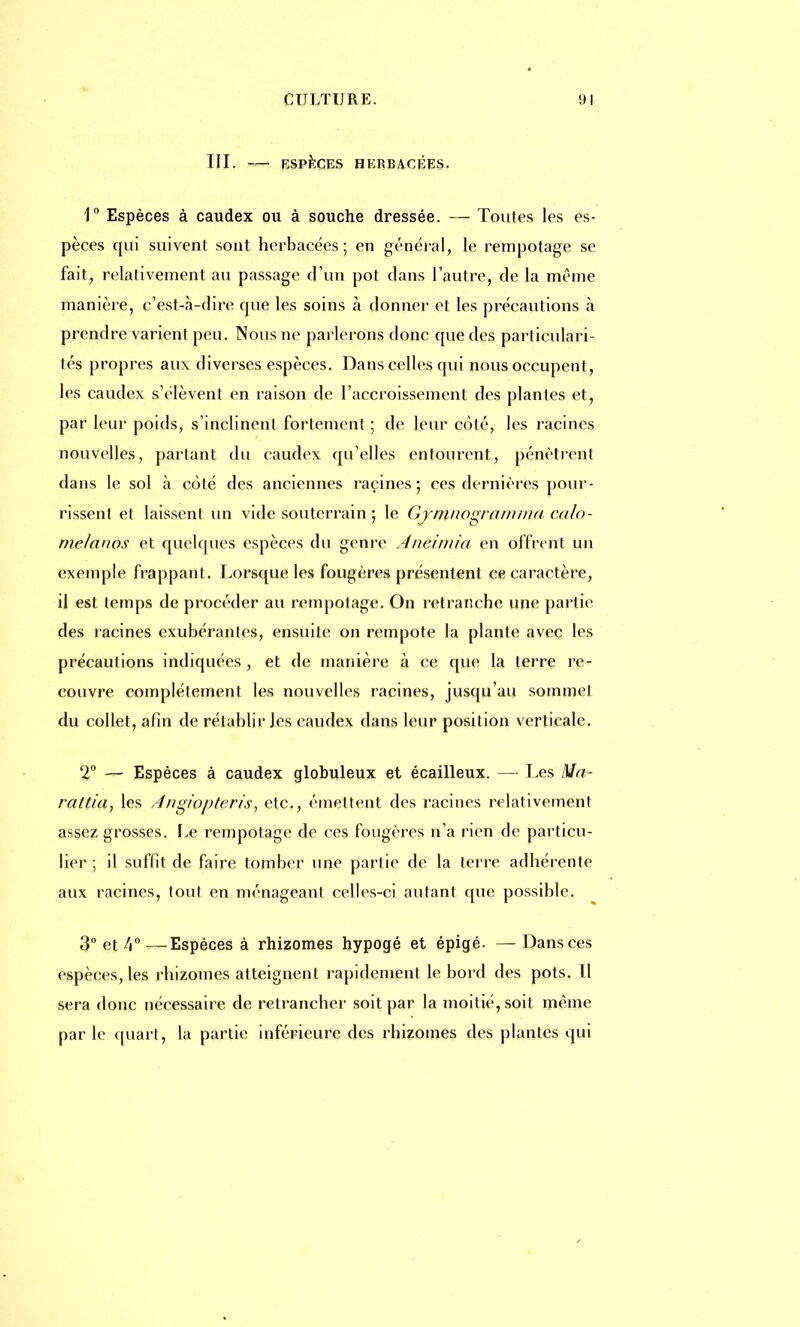 III. — ESPÈCES HERBACÉES. 1° Espèces à caudex ou à souche dressée. — Toutes les es- pèces qui suivent sont herbacées; en général, le rempotage se fait, relativement au passage d'un pot dans l'autre, de la même manière, c'est-à-dire que les soins à donner et les précautions à prendre varient peu. Nous ne parlerons donc que des particulari- tés propres aux diverses espèces. Dans celles qui nous occupent, les caudex s'élèvent en raison de l'accroissement des plantes et, par leur poids, s'inclinent fortement ; de leur côté, les racines nouvelles, partant du caudex qu'elles entourent, pénètrent dans le sol à côté des anciennes racines; ces dernières pour- rissent et laissent un vide souterrain ; le Gymnoçraivnui calo- mefanos et quelques espèces du genre Aneimia en offrent un exemple frappant. Lorsque les fougères présentent ce caractère, il est temps de procéder au rempotage. On retranche une partie des racines exubérantes, ensuite on rempote la plante avec les précautions indiquées , et de manière à ce que la terre re- couvre complètement les nouvelles racines, jusqu'au sommel du collet, afin de rétablir ]es caudex dans leur position verticale. 2° — Espèces à caudex globuleux et écailleux. — Les Ma- rattia, les A'ngiopteris, etc., émettent des racines relativement assez grosses. Le rempotage de ces fougères n'a rien de particu- lier ; il suffit de faire tomber une partie de la terre adhérente aux racines, tout en ménageant celles-ci autant que possible. 3° et 4° —Espèces à rhizomes hypogé et épigé. — Dans ces espèces, les rhizomes atteignent rapidement le bord des pots. Il sera donc nécessaire de retrancher soit par la moitié, soit même par le quart, la partie inférieure des rhizomes des plantes qui